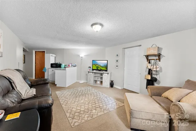 a living room with furniture and a couch