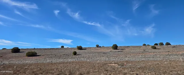 a view of a dry space with a mountain in the background