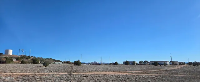 a view of a dry yard