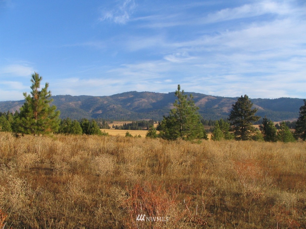 1 Hidden Valley Road Cle Elum, WA 98922 - Photo 1 of 6 Gallery Image 1