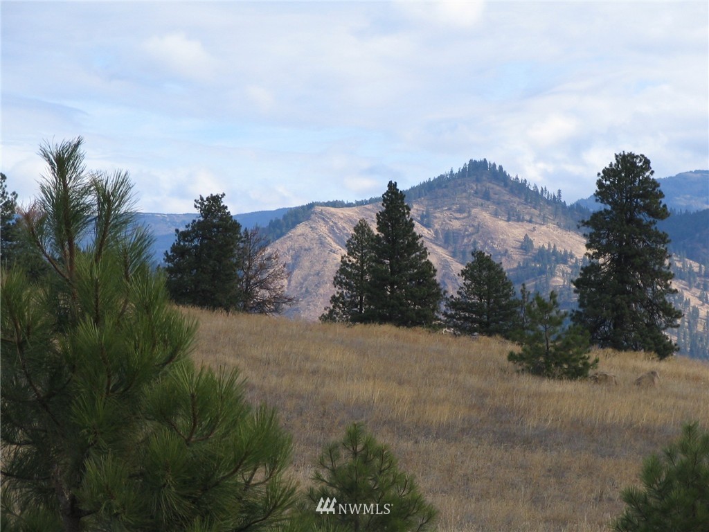 1 Hidden Valley Road Cle Elum, WA 98922 - Photo 2 of 6 Gallery Image 2