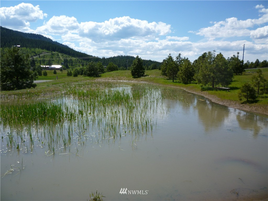 1 Hidden Valley Road Cle Elum, WA 98922 - Photo 3 of 6 Gallery Image 3