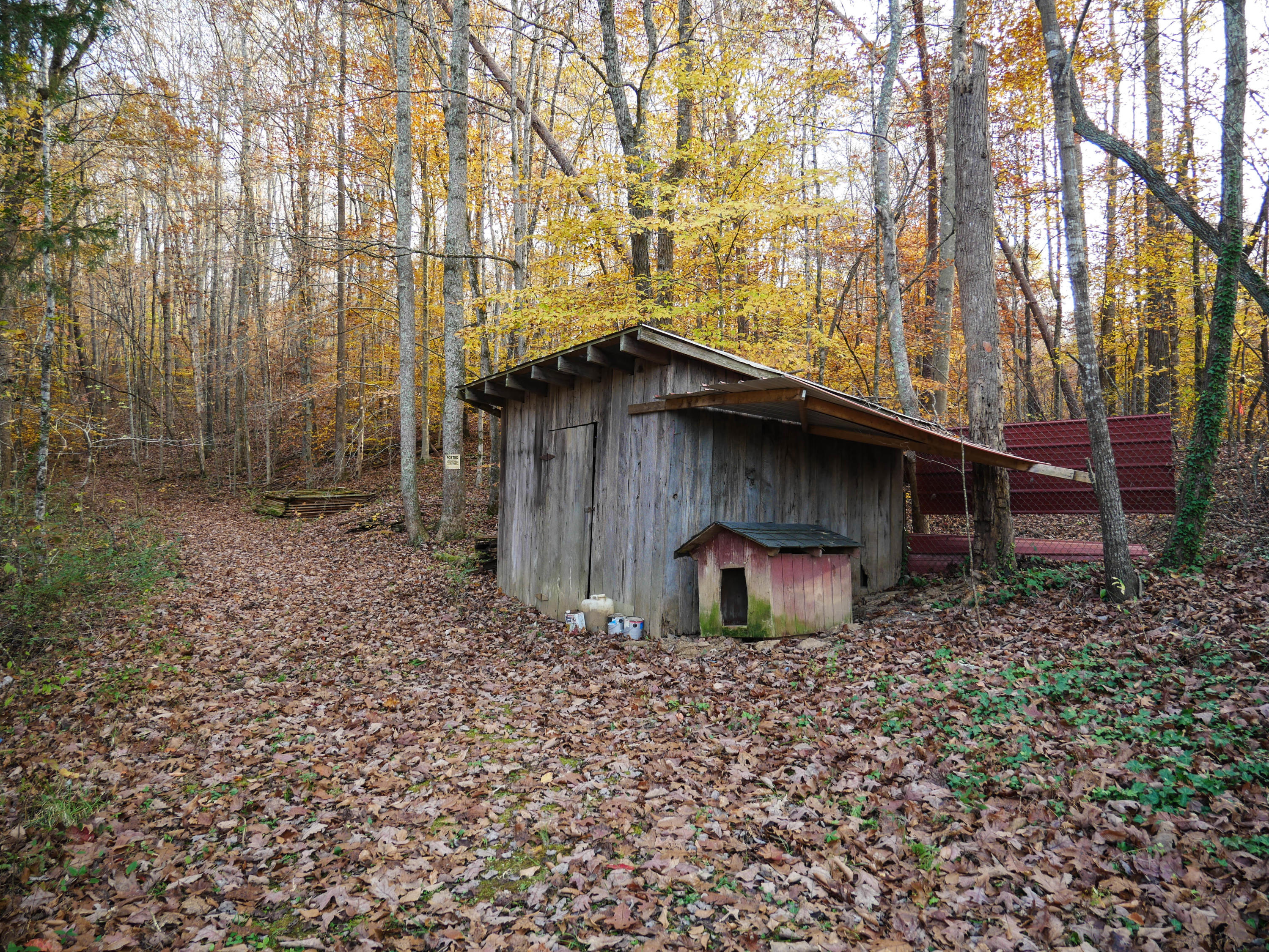 785 Blockhouse Valley Road Clinton, TN 37716 - Photo 20 of 23 P1020364