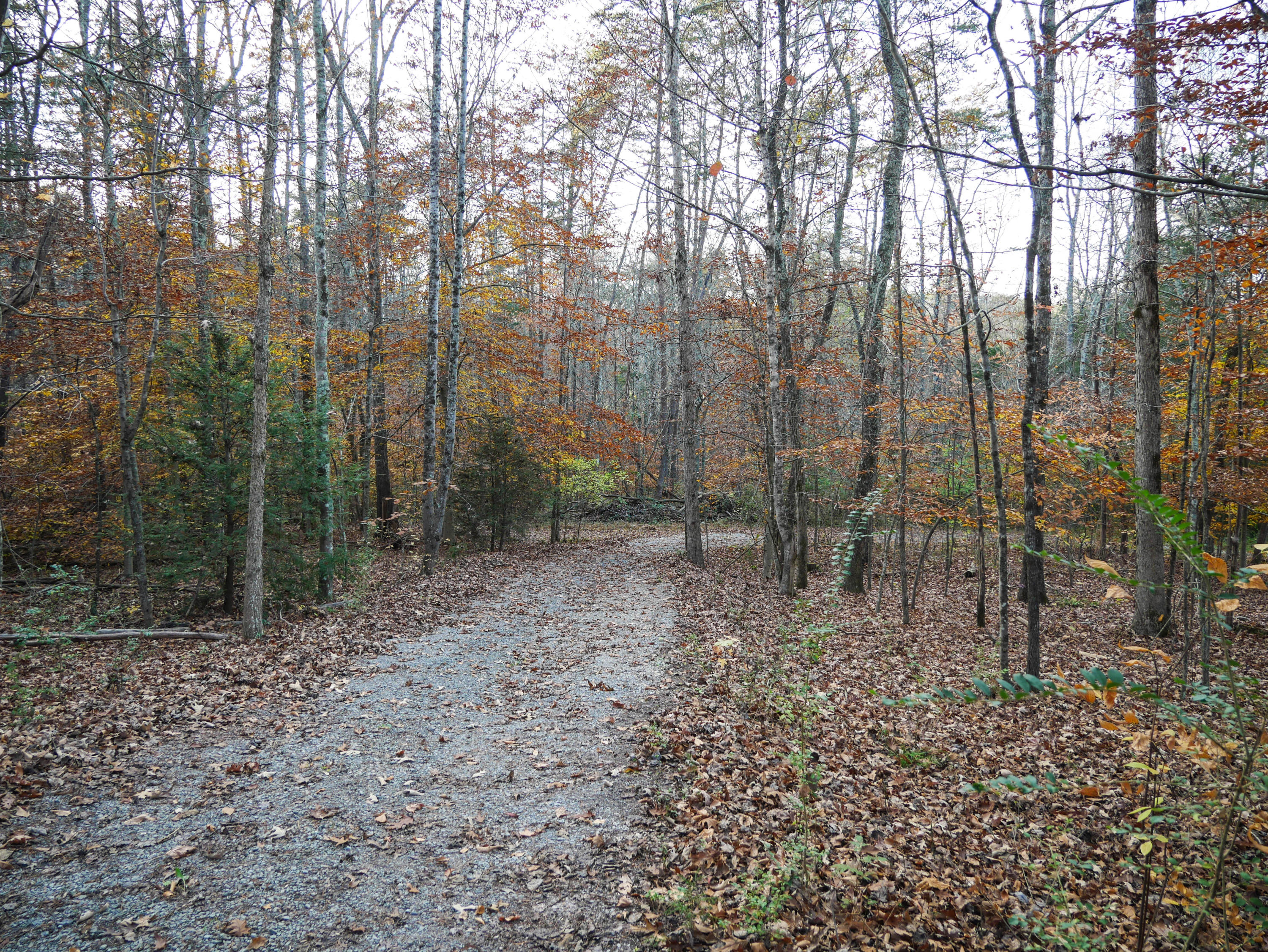 785 Blockhouse Valley Road Clinton, TN 37716 - Photo 21 of 23 P1020369
