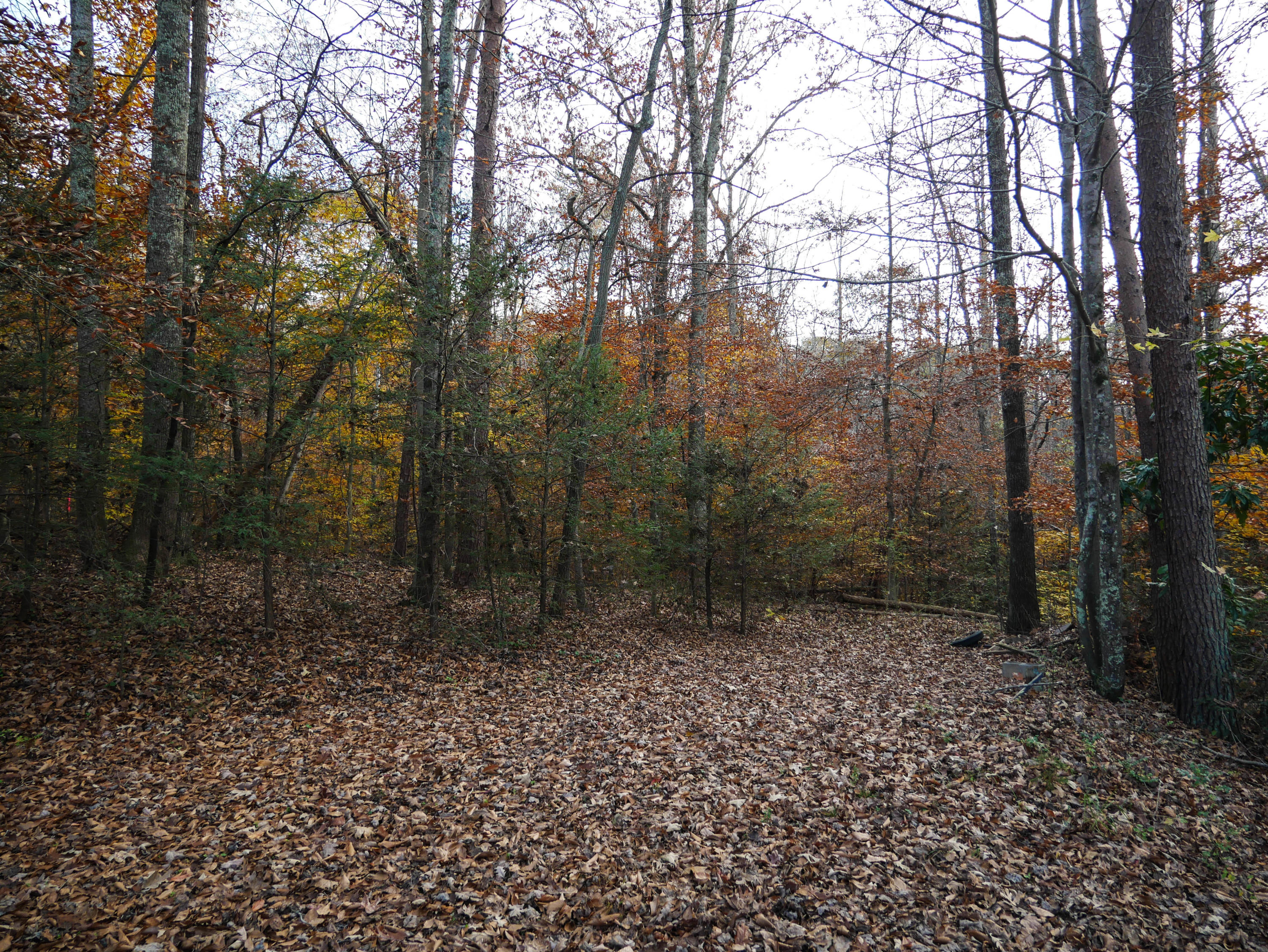 785 Blockhouse Valley Road Clinton, TN 37716 - Photo 22 of 23 P1020370