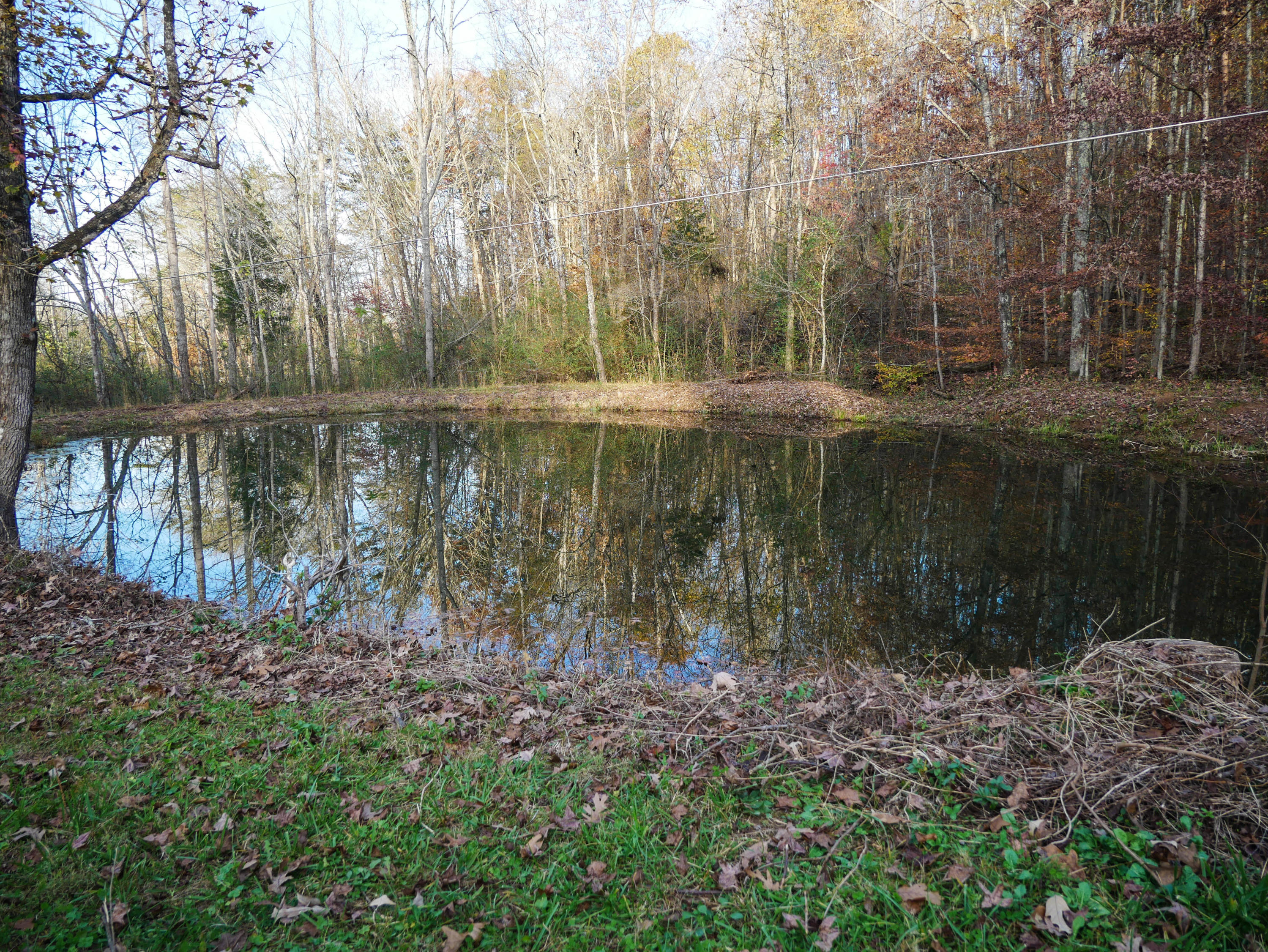 785 Blockhouse Valley Road Clinton, TN 37716 - Photo 23 of 23 P1020362