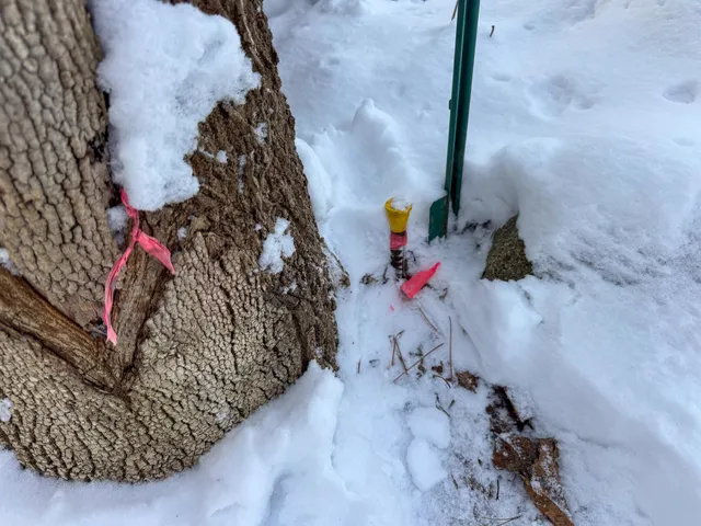 $179,900 | 68 Enfield Road, Lincoln, ME 04457