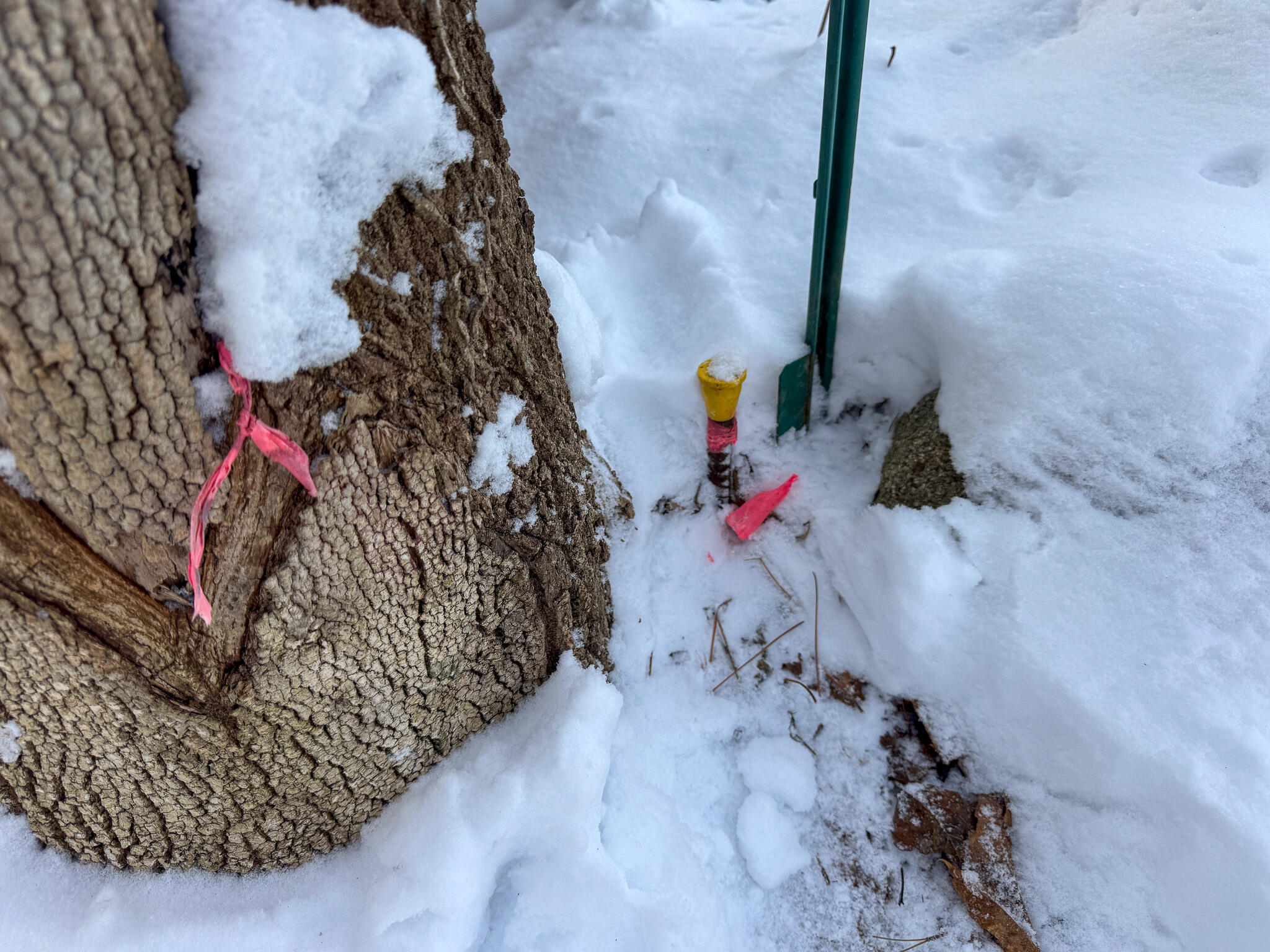 68 Enfield Road Lincoln, ME 04457 - Photo 31 of 34 25