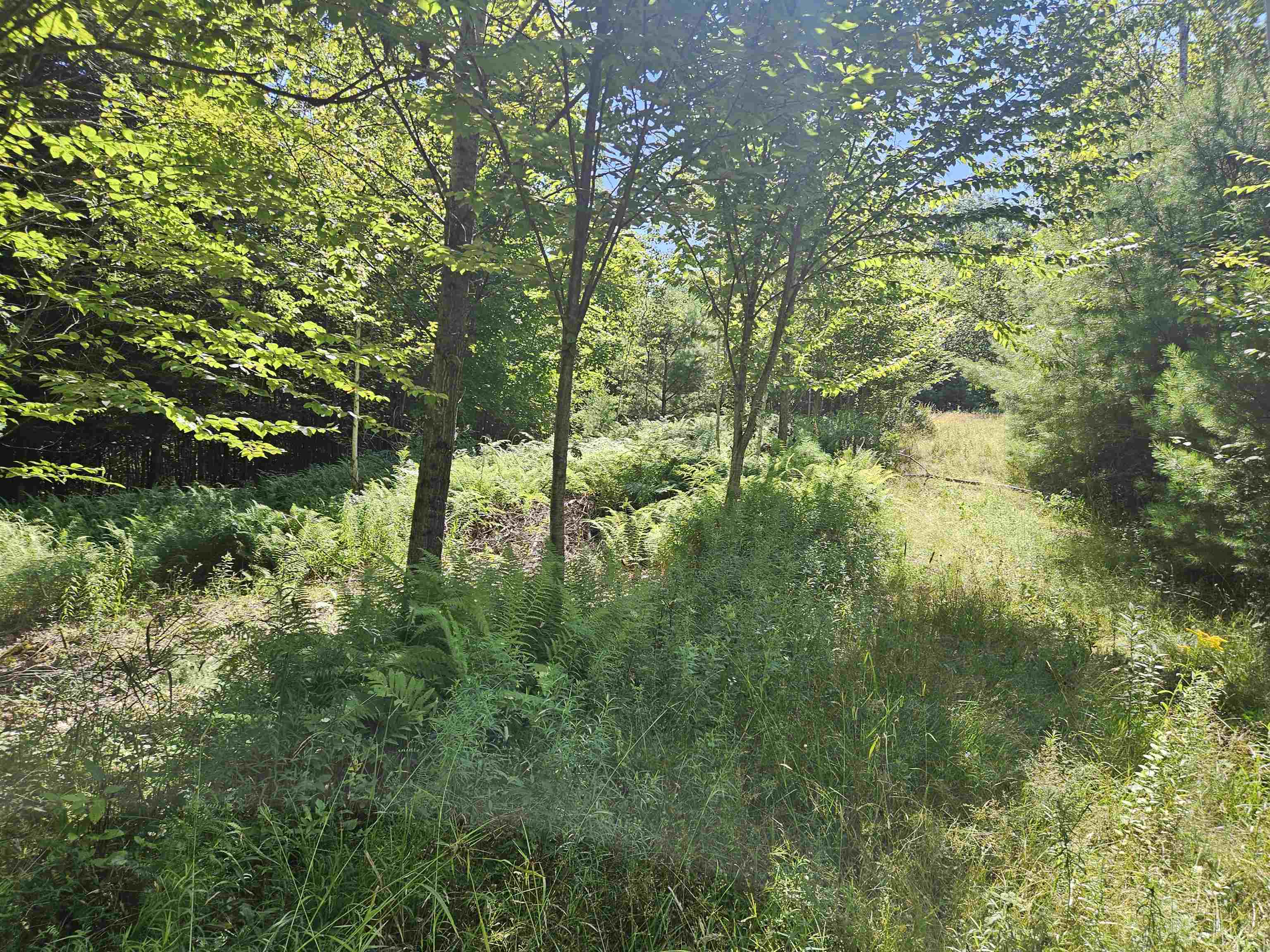 Lot 3.3 Off Parker Road Lisbon, NH 03585 - Photo 13 of 20