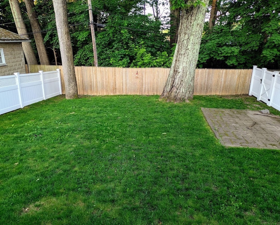 17 Longfellow Road Worcester, MA 01602 - Photo 19 of 19 a view of backyard with tree