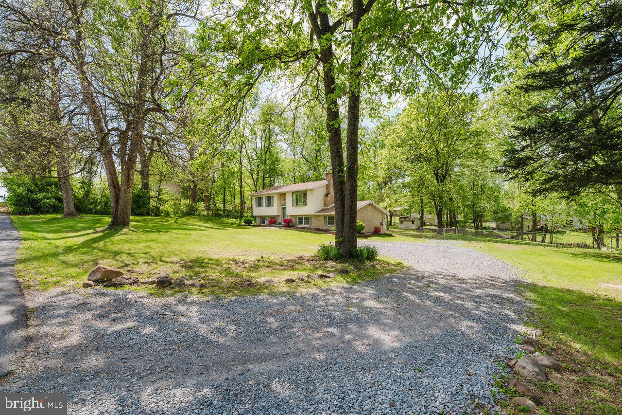 119 Canal Road Falling Waters, WV 25419 - Photo 4 of 66 a view of a tree in the middle of a yard