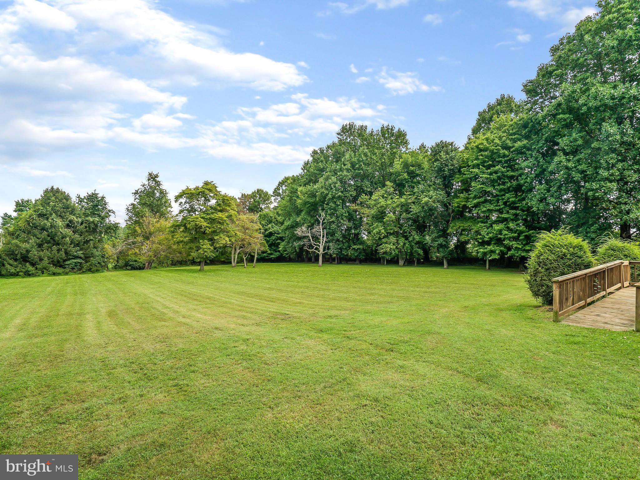 175 Norwood Road Silver Spring, MD 20905 - Photo 29 of 30 a view of a big yard with a garden