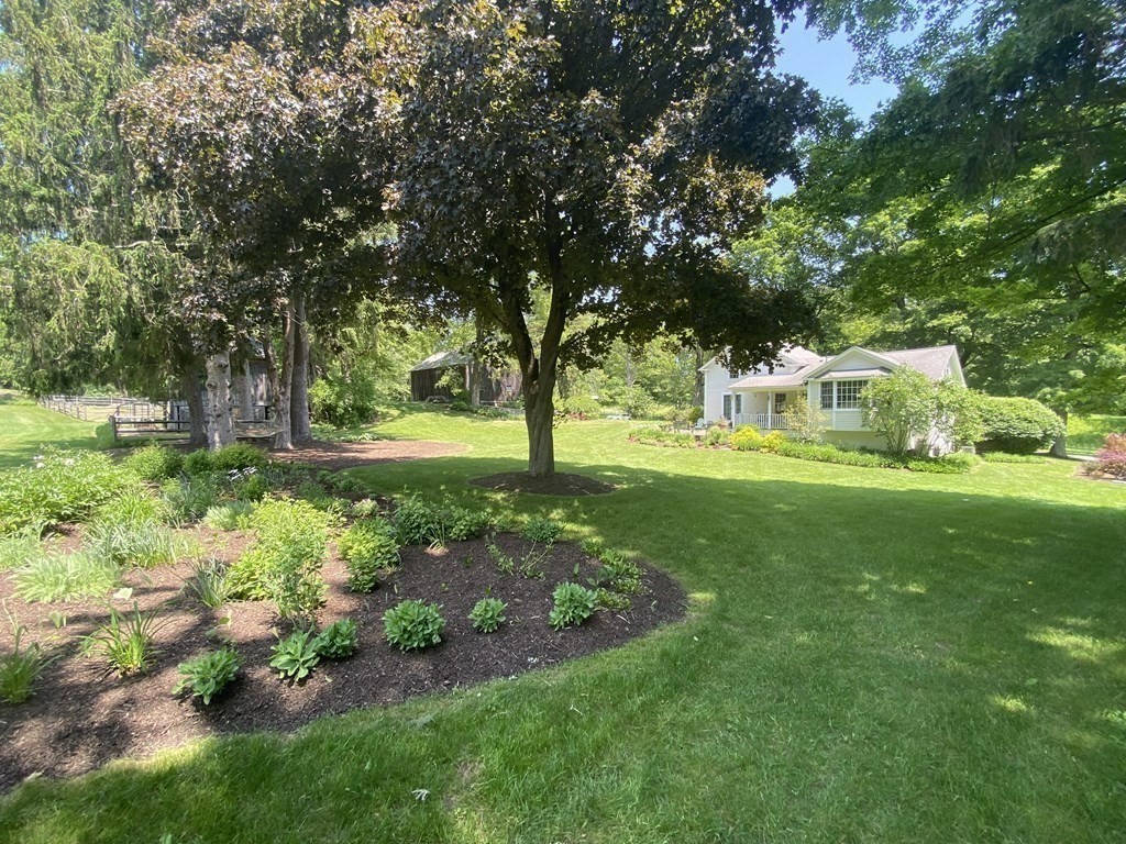 344 Flat Hills Road Amherst, MA 01002 - Photo 34 of 42 a view of a park with large trees