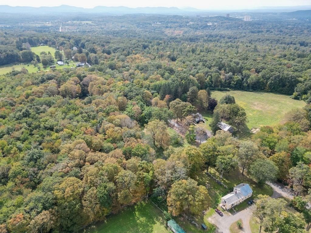 344 Flat Hills Road Amherst, MA 01002 - Photo 4 of 42 a view of a city with lush green forest