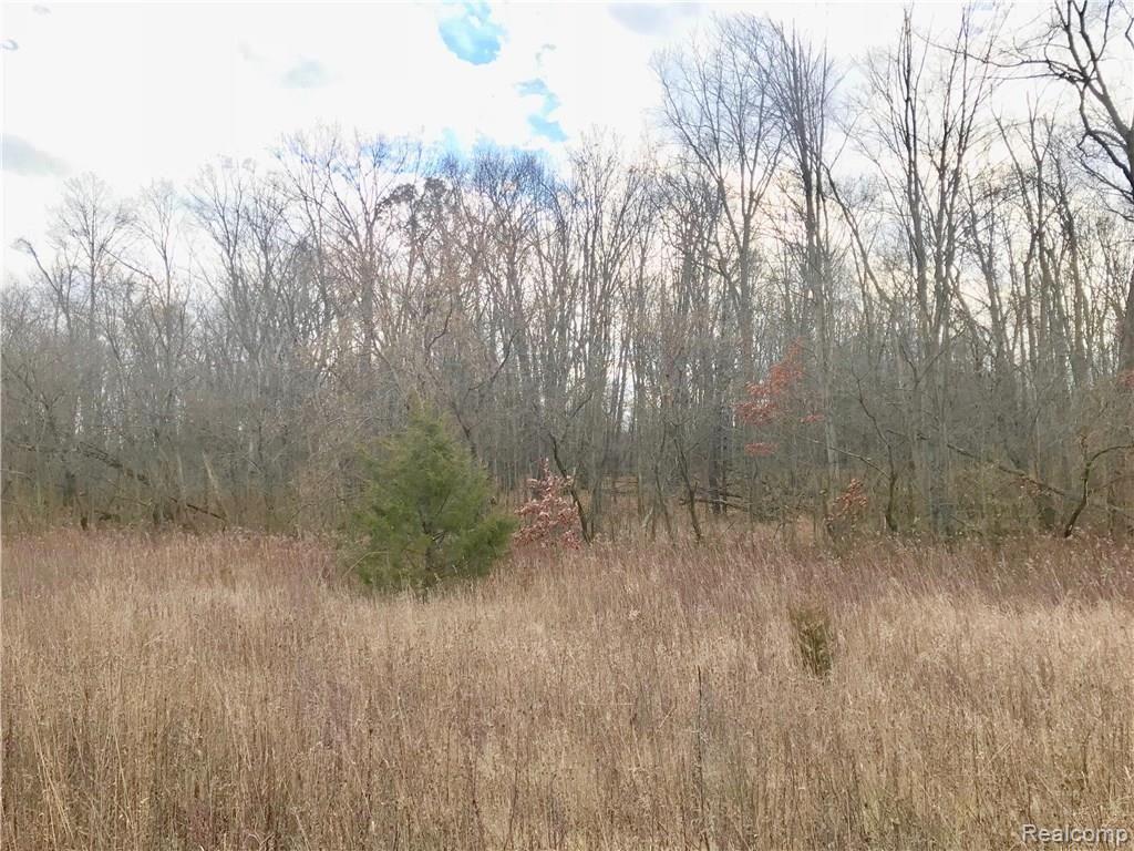 0 Lannen Road Howell, MI 48855 - Photo 25 of 26
