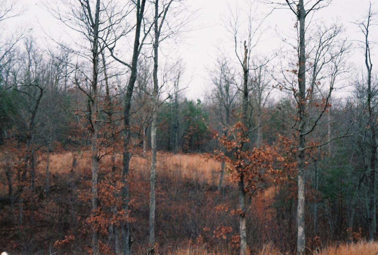 Land