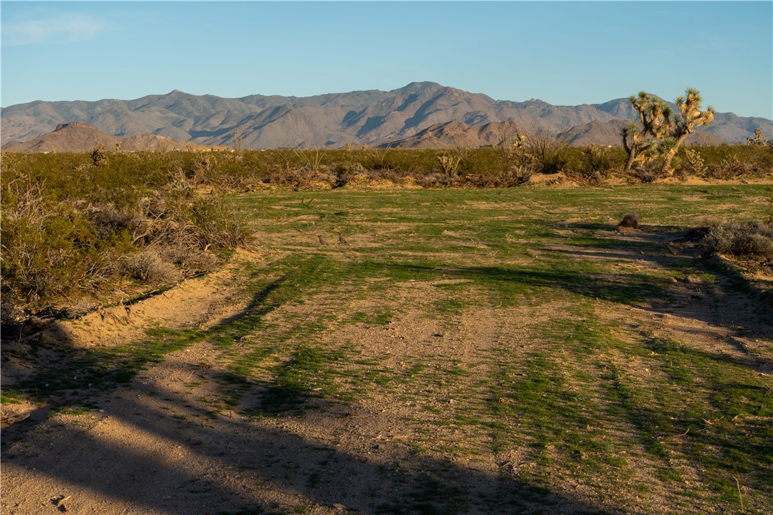 Lot 30 South Carmen Road Yucca, AZ 86438 - Photo 3 of 17 One of two graded driveways to lot