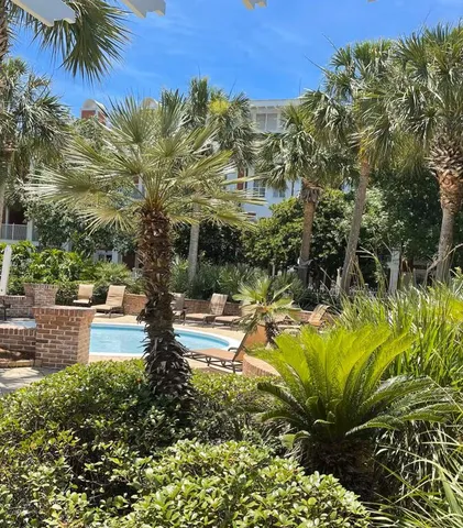 a view of a yard with plants and palm trees