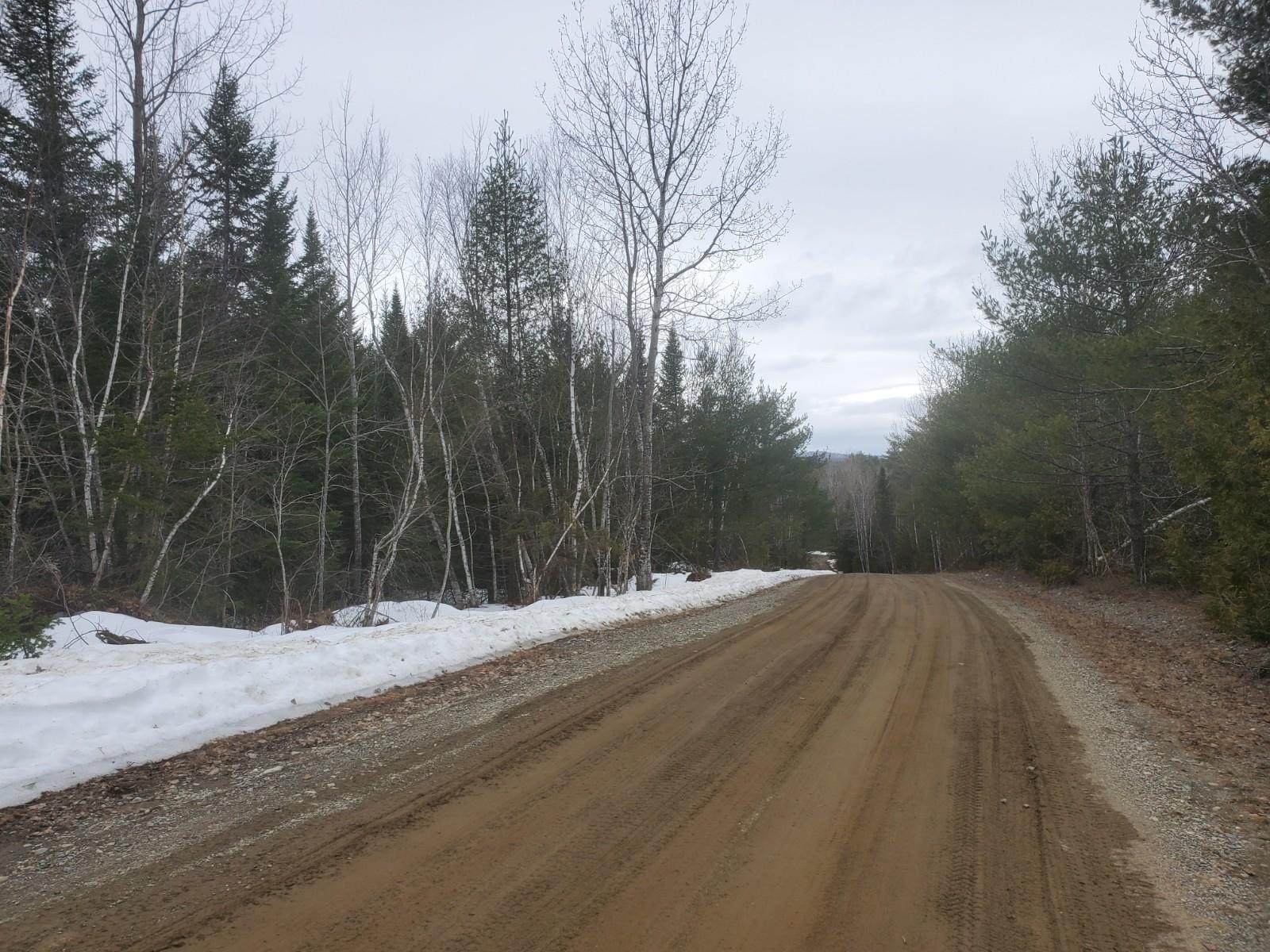 Lot 31 Upper Dobsis Road Lakeville, ME 04487 - Photo 8 of 12 20210325_122948