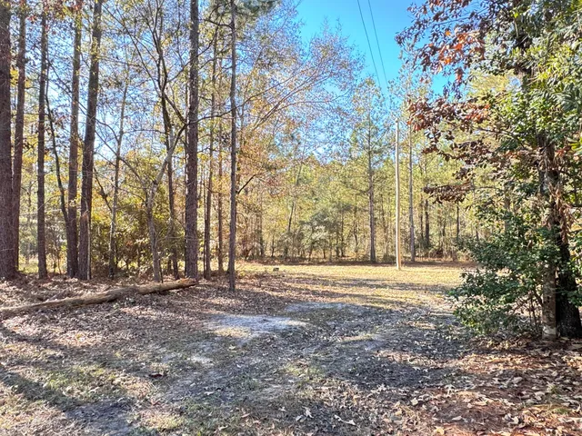 $149,999 | 70 Chrissy Lane, Walterboro, SC 29488
