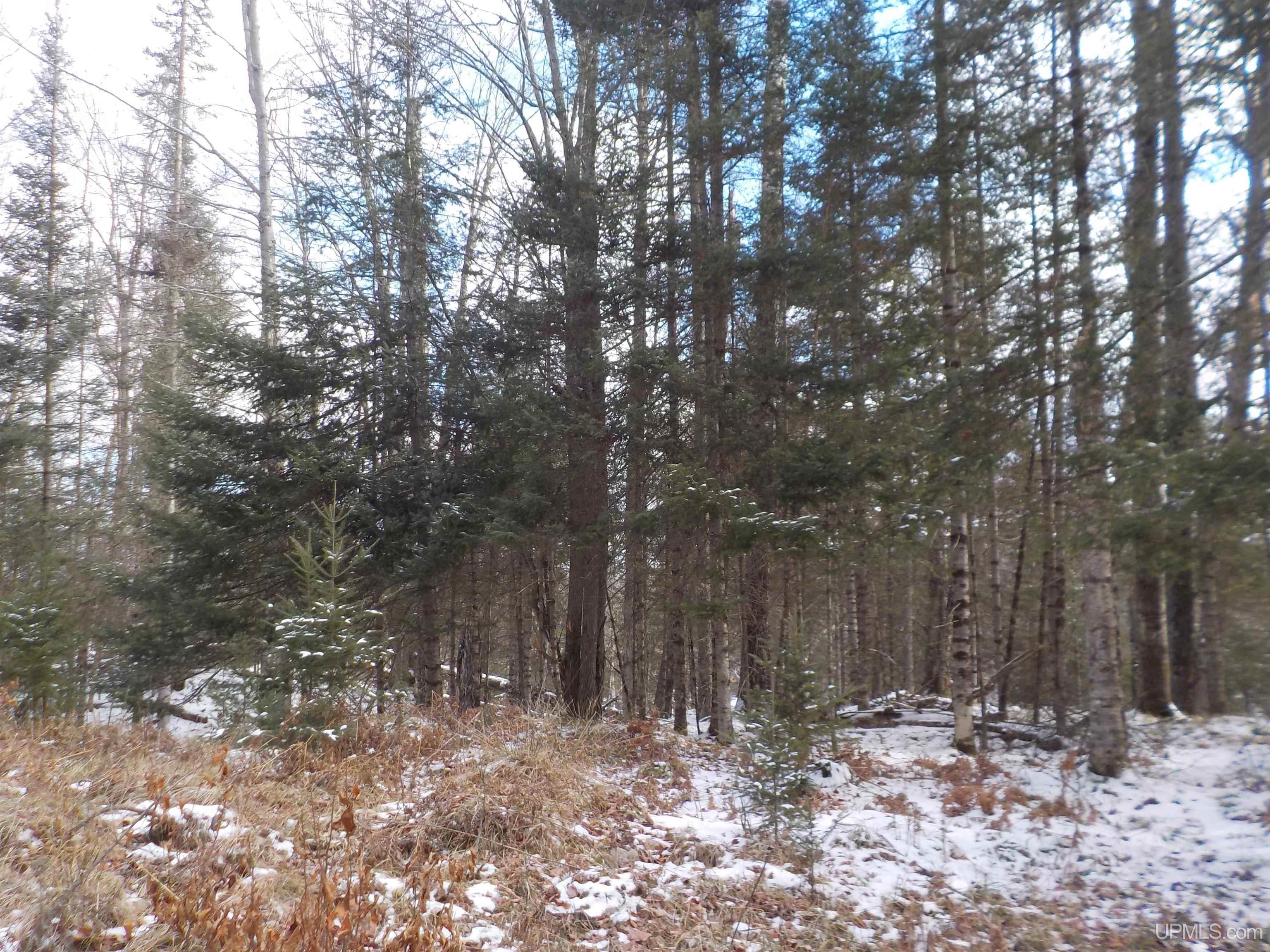 1.52-ac Bates-Amasa Road Crystal Falls, MI 49920 - Photo 10 of 28 Gallery Image 10