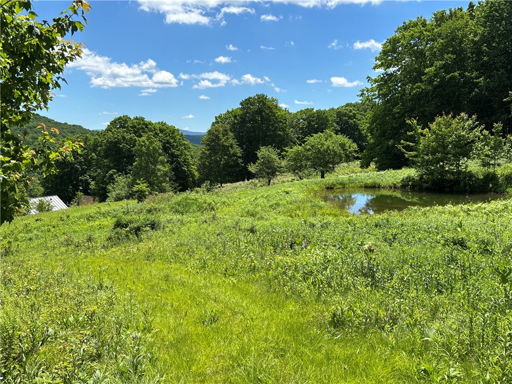 2613 Murphy Hill Road Andes, NY 13731 - Photo 21 of 35