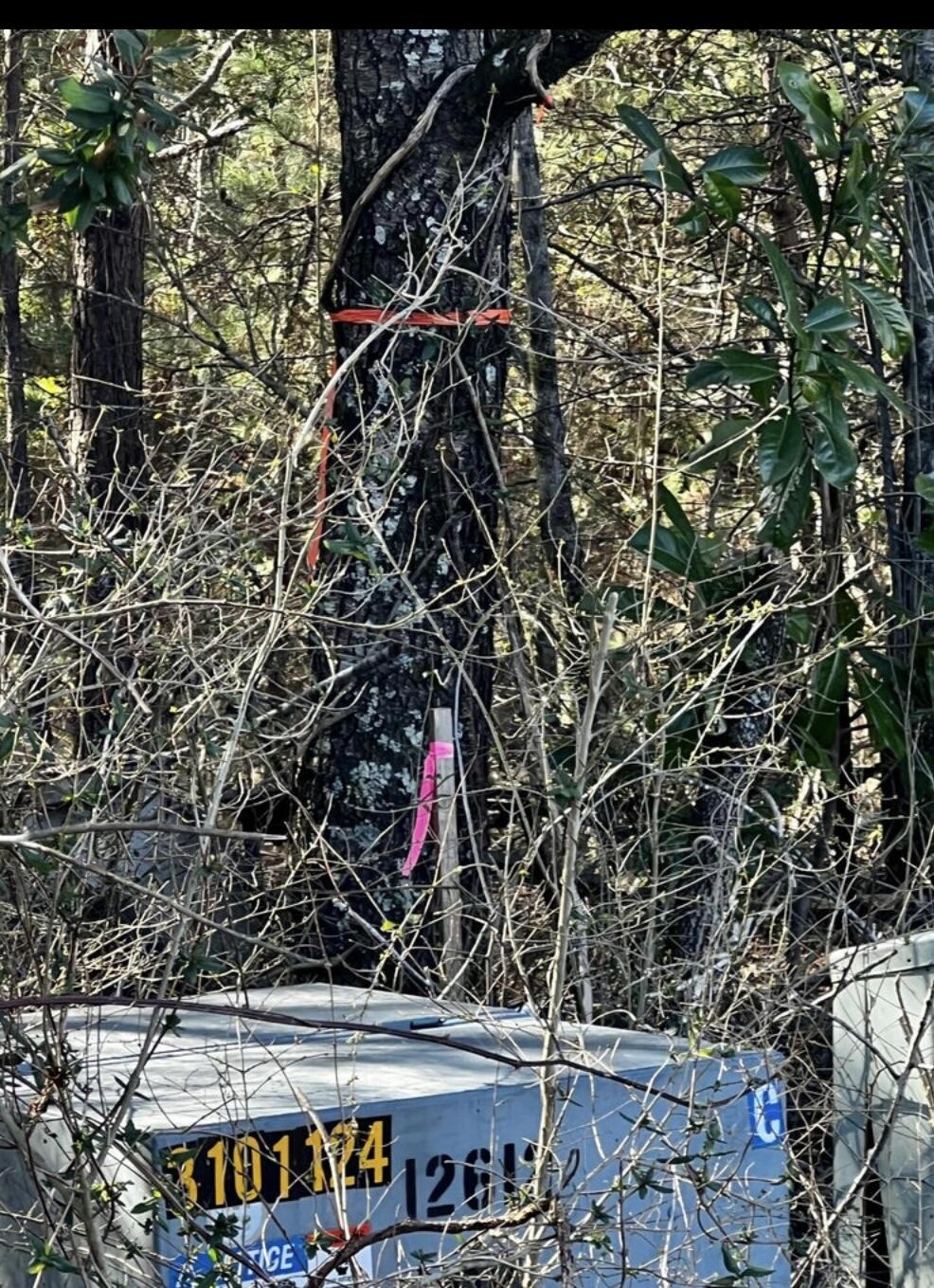 497 Hurtt Road Chickamauga, GA 30707 - Photo 2 of 10 IMG_6474