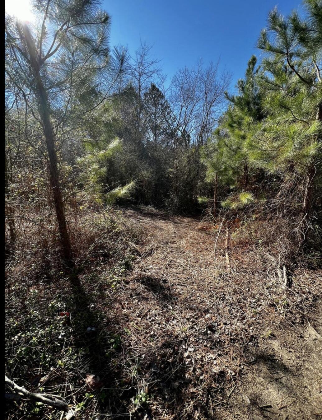497 Hurtt Road Chickamauga, GA 30707 - Photo 5 of 10 IMG_6471