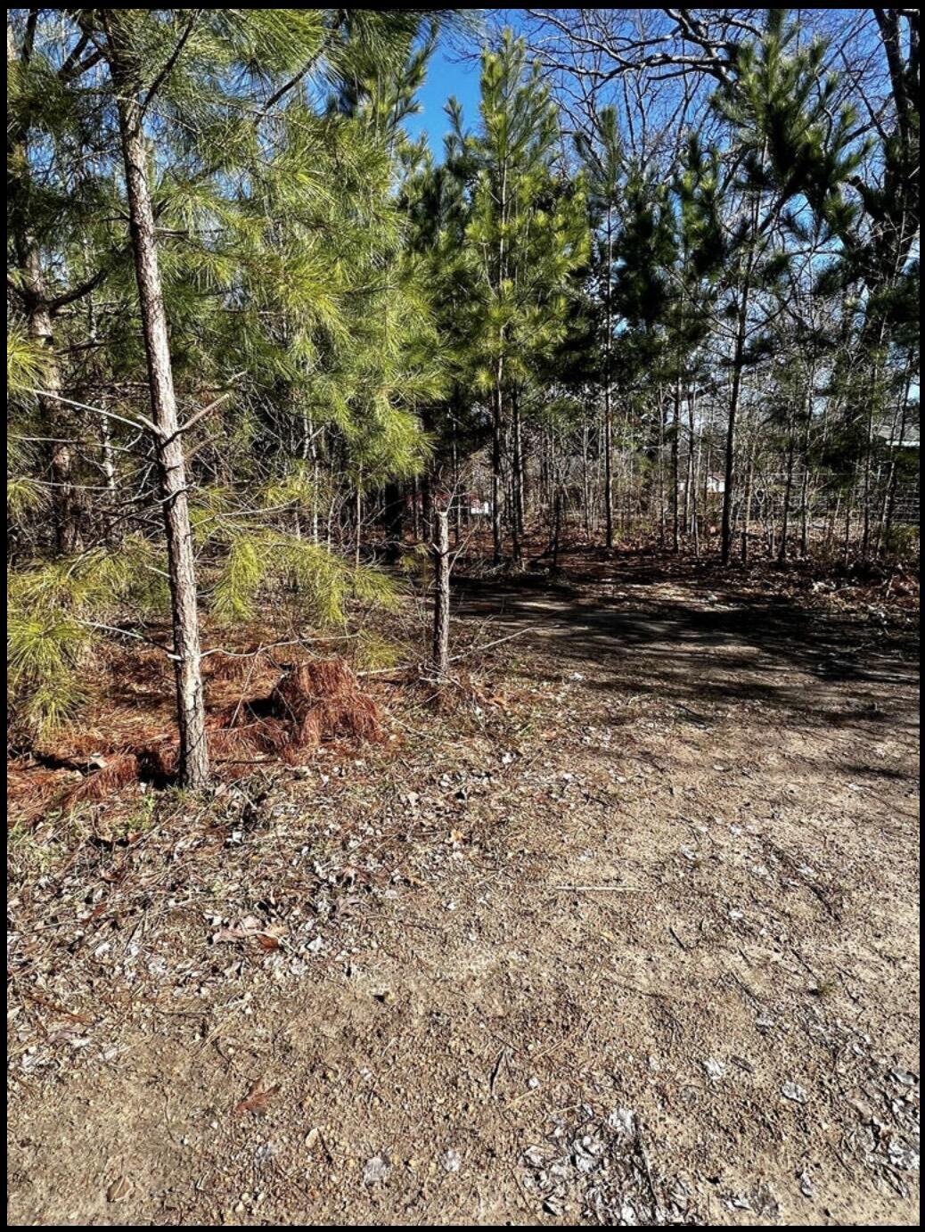497 Hurtt Road Chickamauga, GA 30707 - Photo 9 of 10 IMG_6467