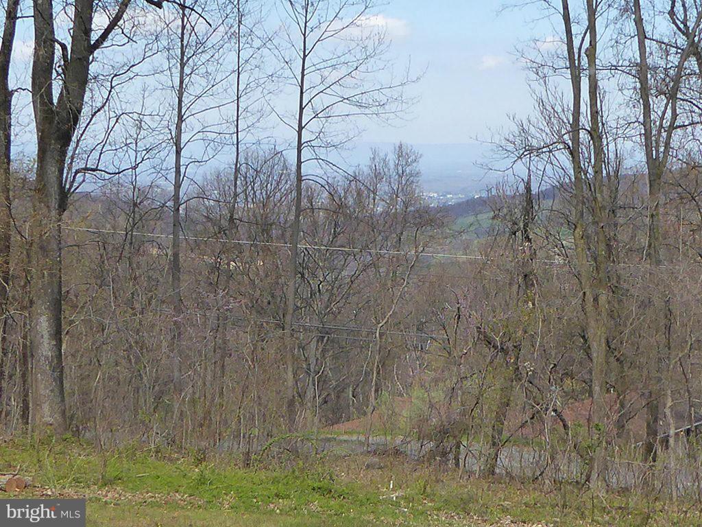 1428 Highridge Road Front Royal, VA 22630 - Photo 11 of 30 View