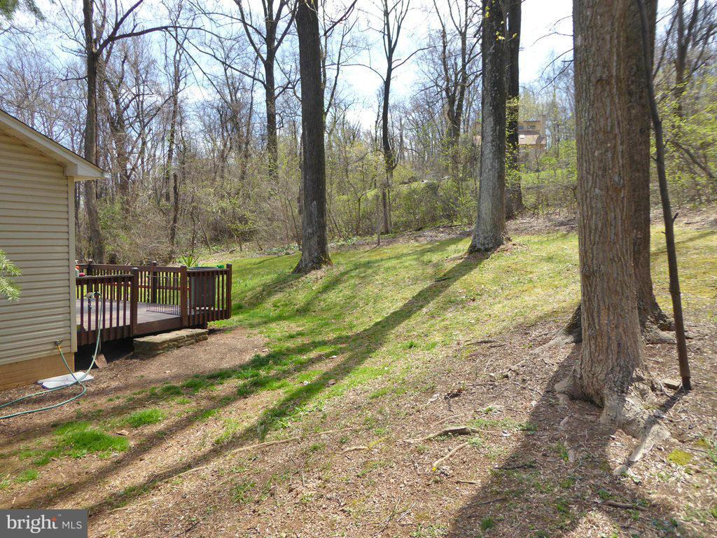 1428 Highridge Road Front Royal, VA 22630 - Photo 7 of 30 Exterior (Rear)