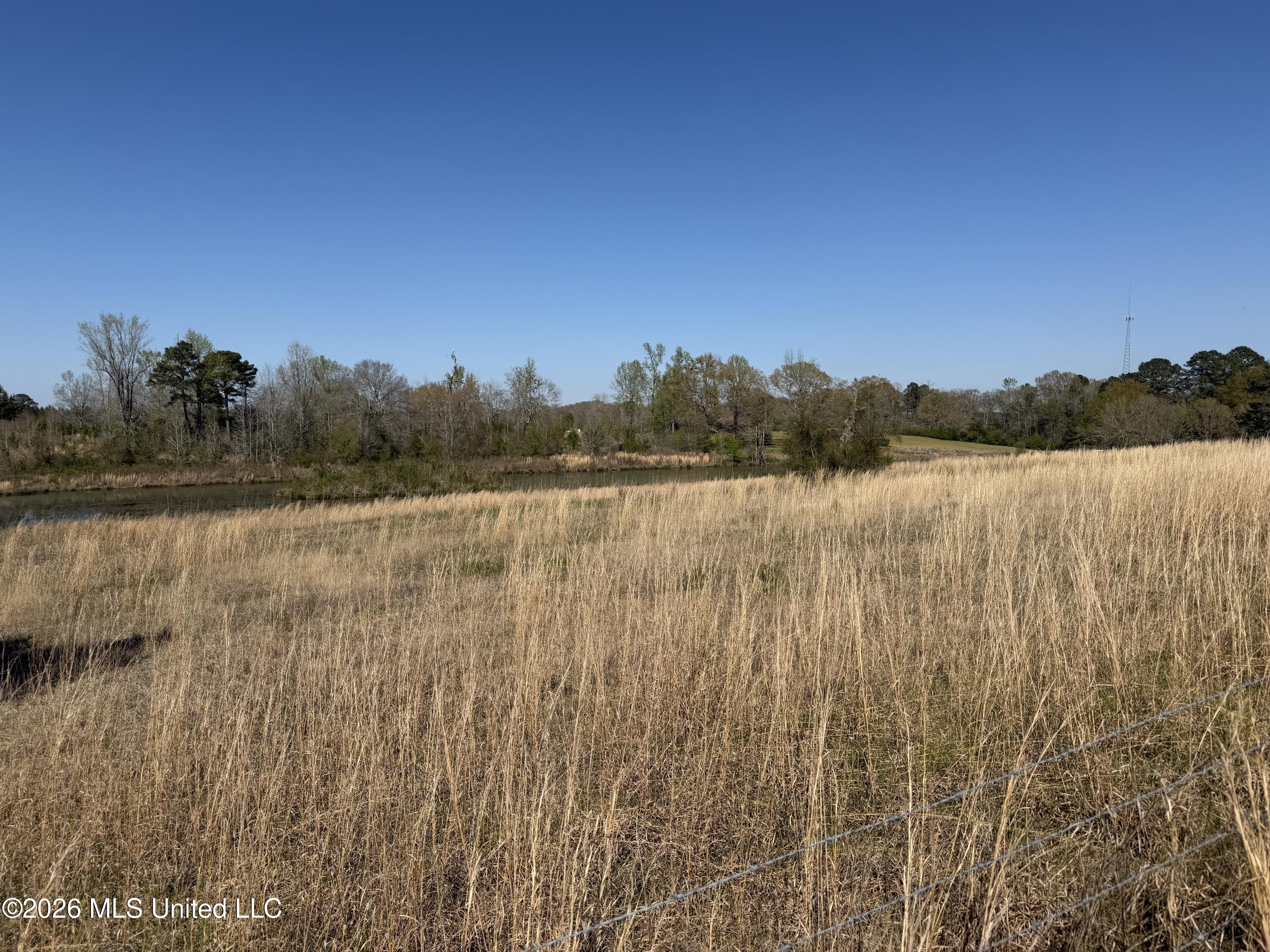 3253 Highway 488 Carthage, MS 39051 - Photo 105 of 109 IMG_2105