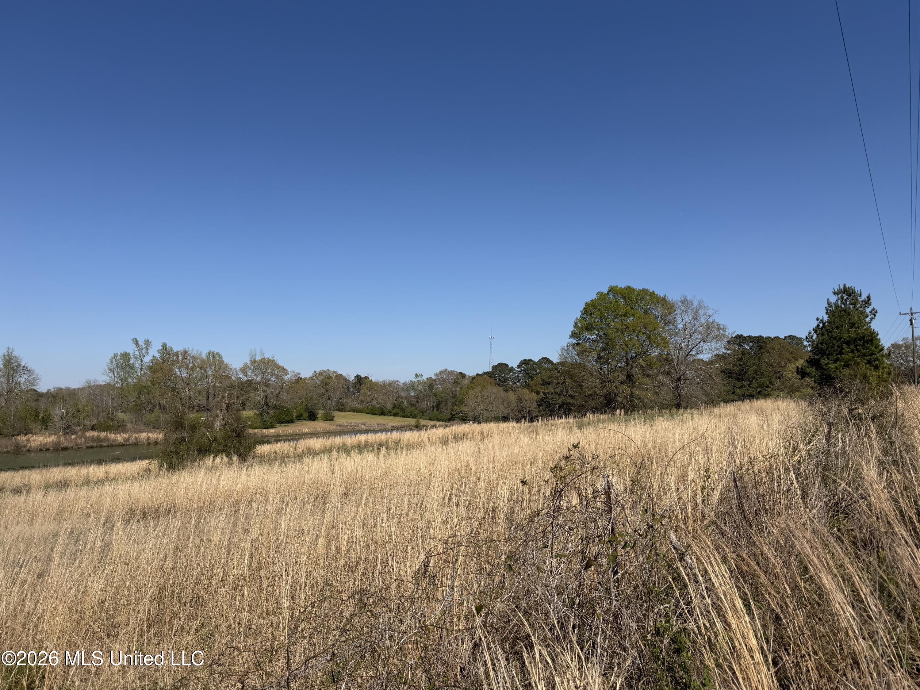 3253 Highway 488 Carthage, MS 39051 - Photo 106 of 109 IMG_2106