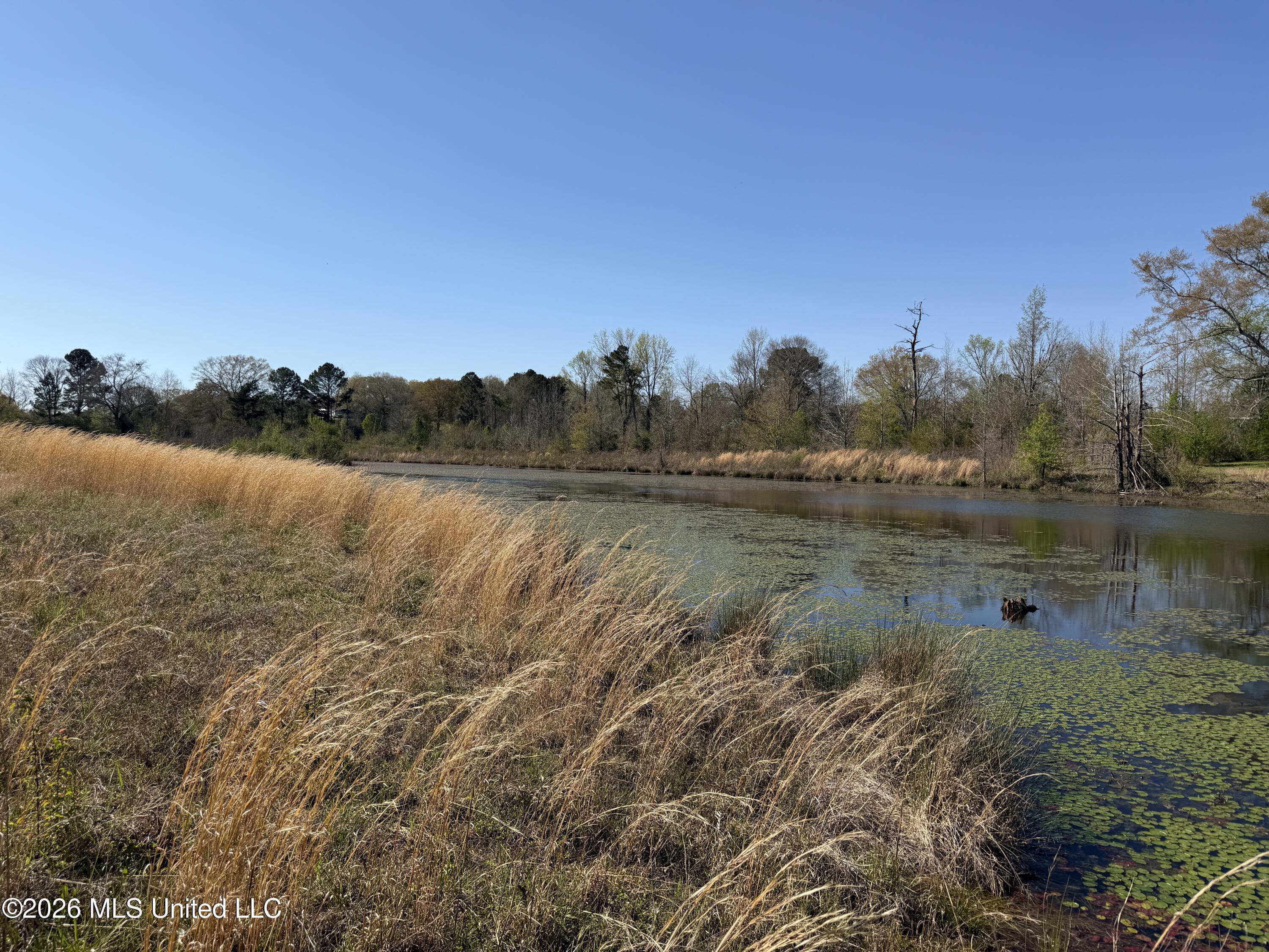 3253 Highway 488 Carthage, MS 39051 - Photo 108 of 109 IMG_2109