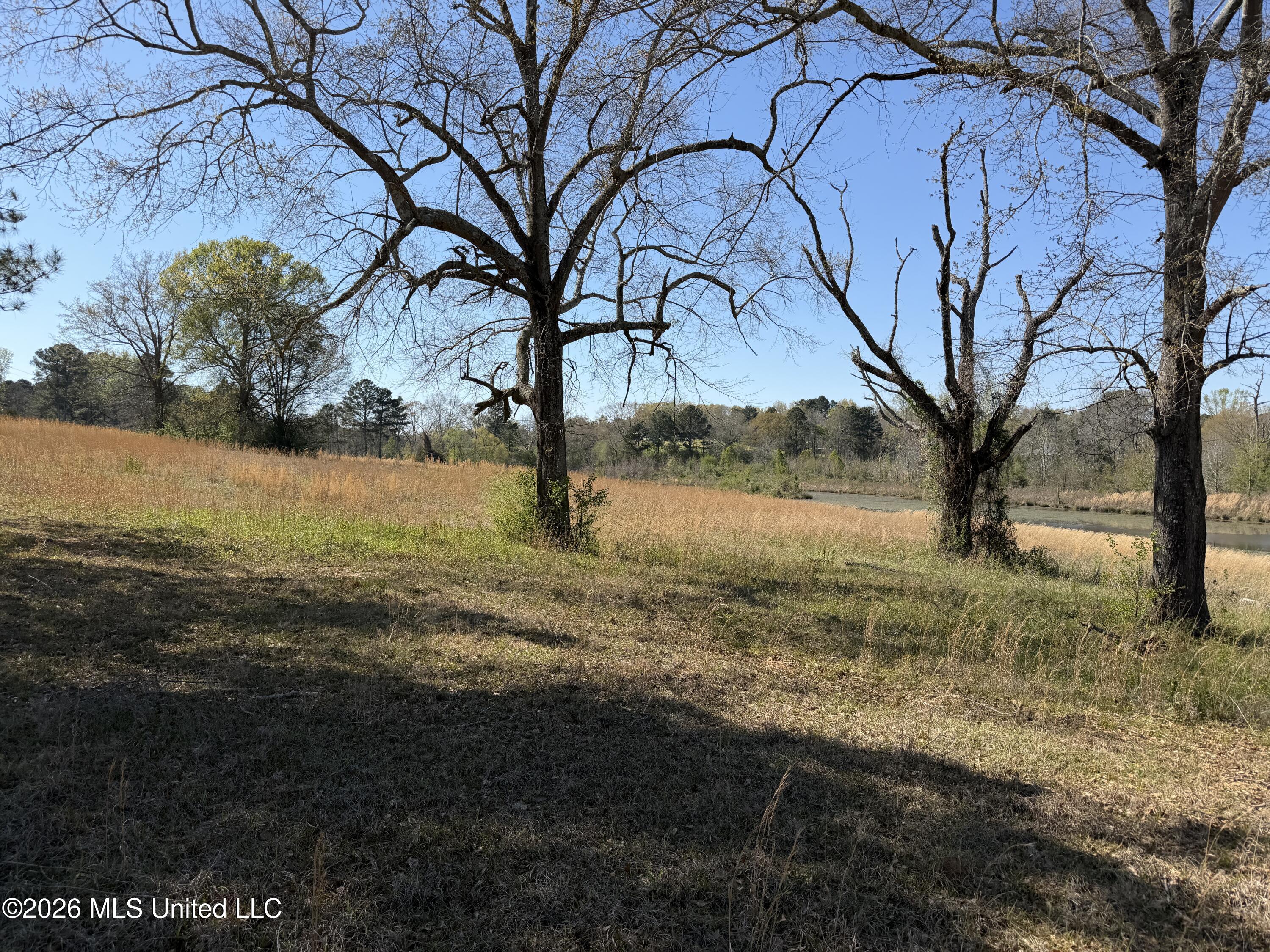 3253 Highway 488 Carthage, MS 39051 - Photo 109 of 109 IMG_2110