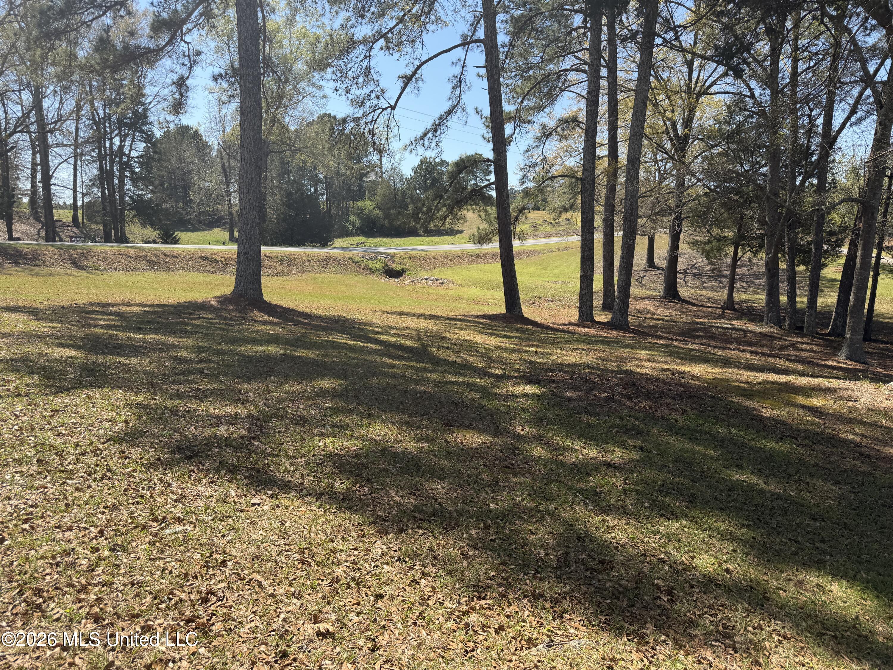 3253 Highway 488 Carthage, MS 39051 - Photo 17 of 109 IMG_2011