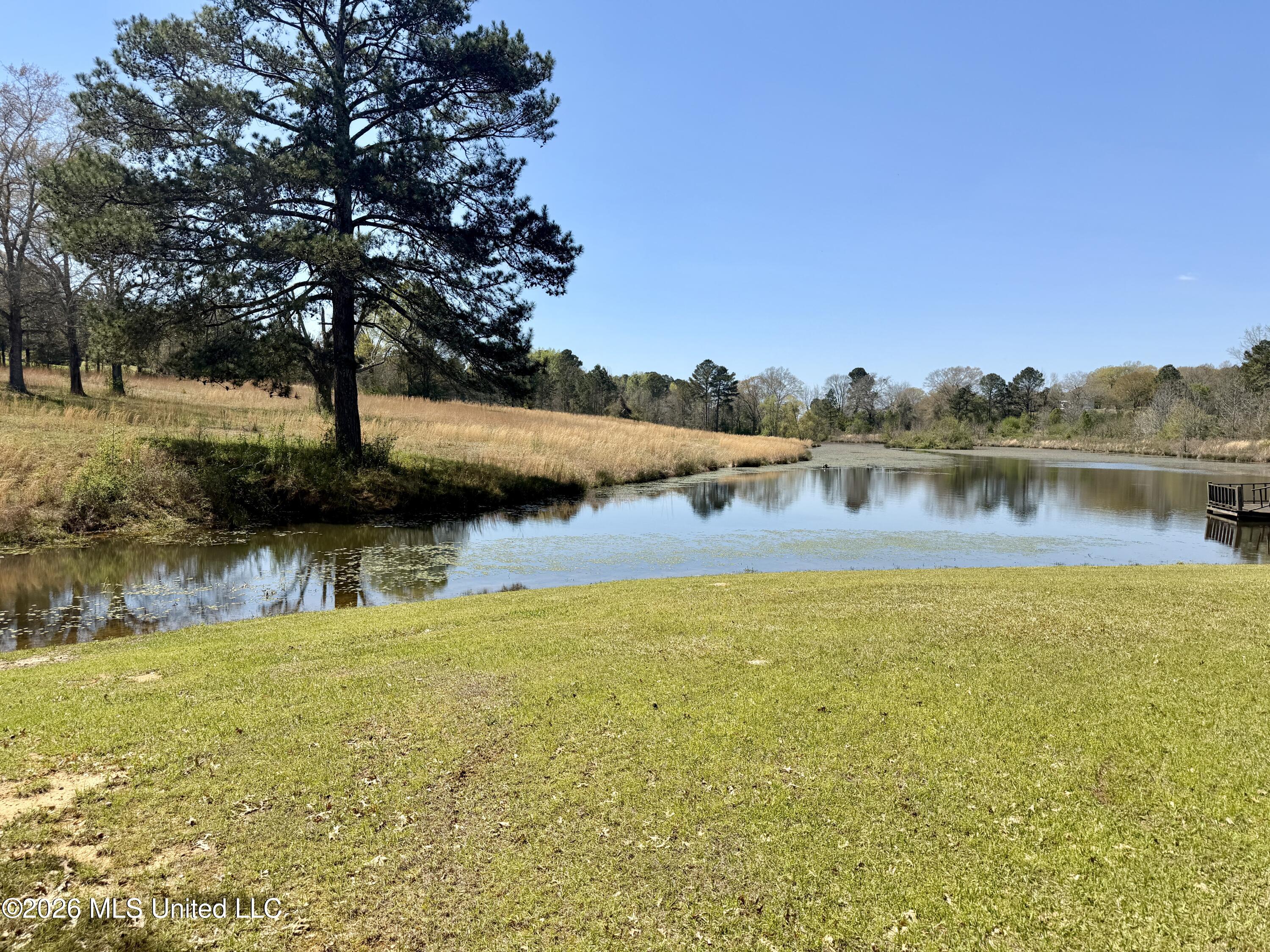 3253 Highway 488 Carthage, MS 39051 - Photo 27 of 109 IMG_2002