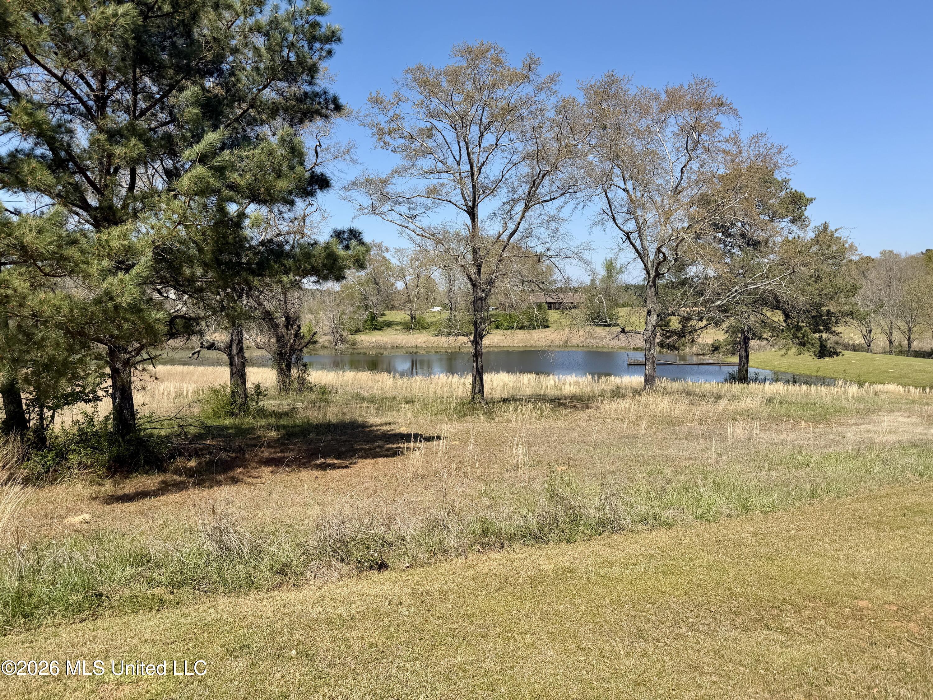 3253 Highway 488 Carthage, MS 39051 - Photo 28 of 109 IMG_1994
