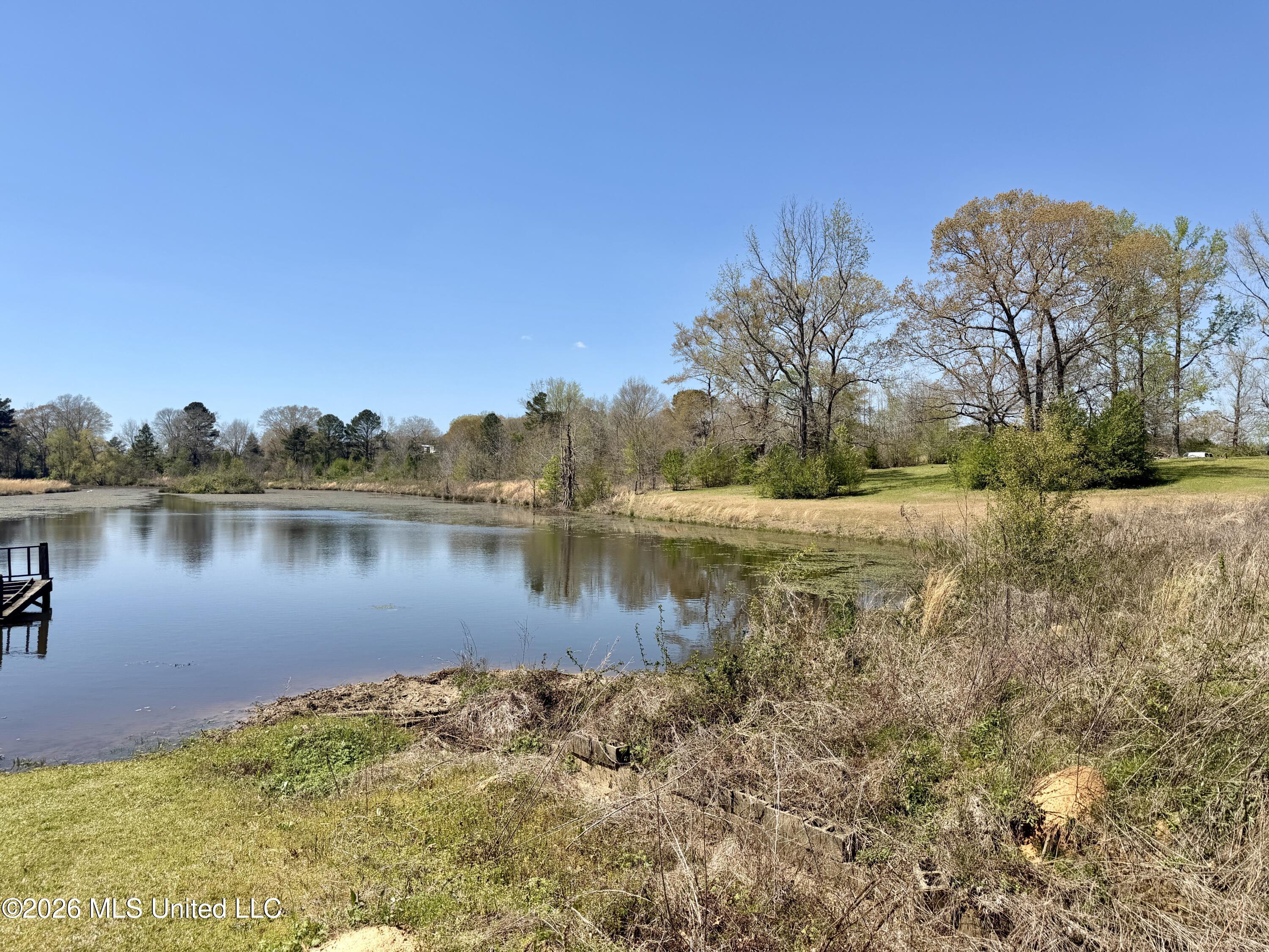 3253 Highway 488 Carthage, MS 39051 - Photo 29 of 109 IMG_2003