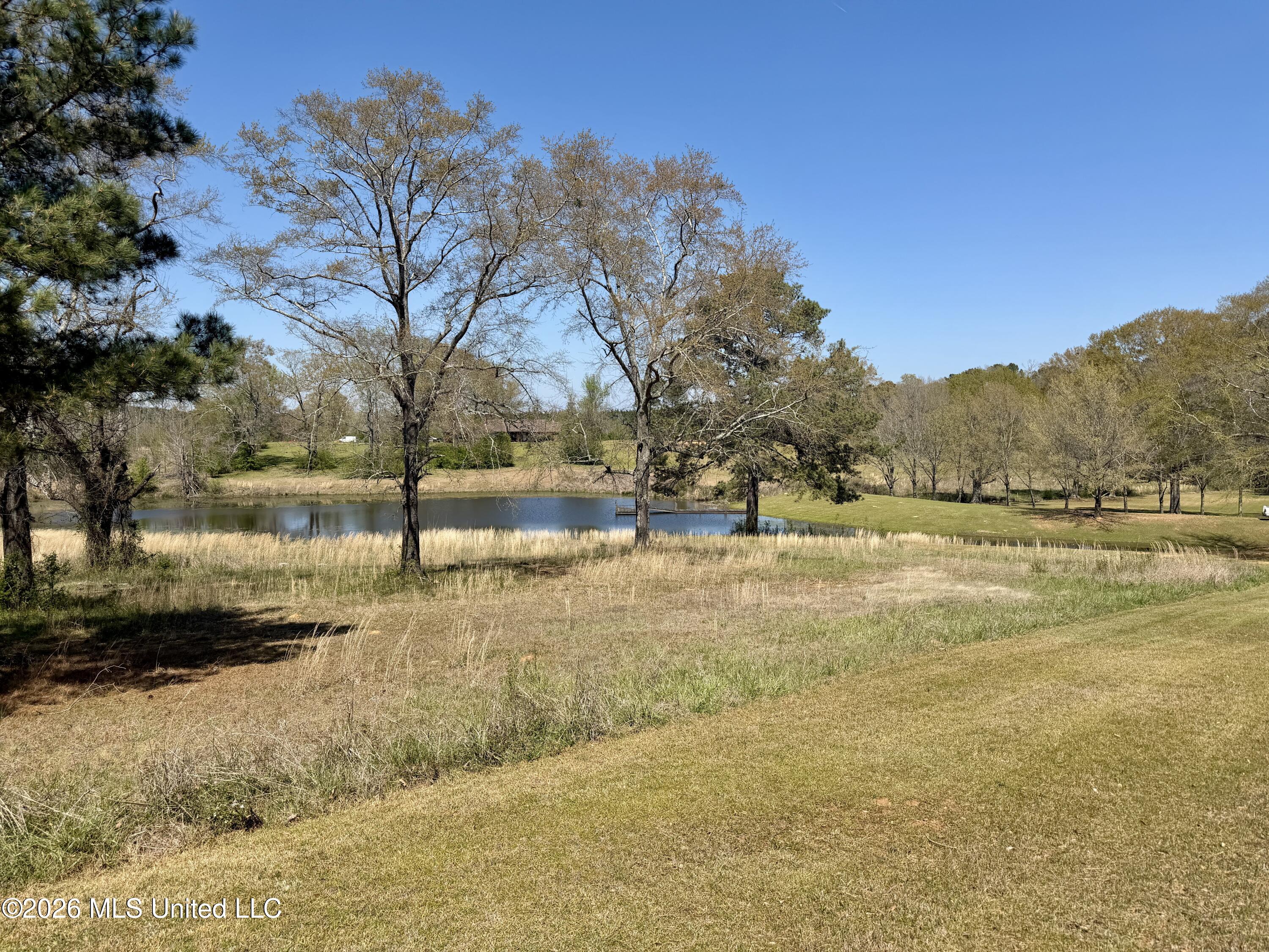 3253 Highway 488 Carthage, MS 39051 - Photo 30 of 109 IMG_1995