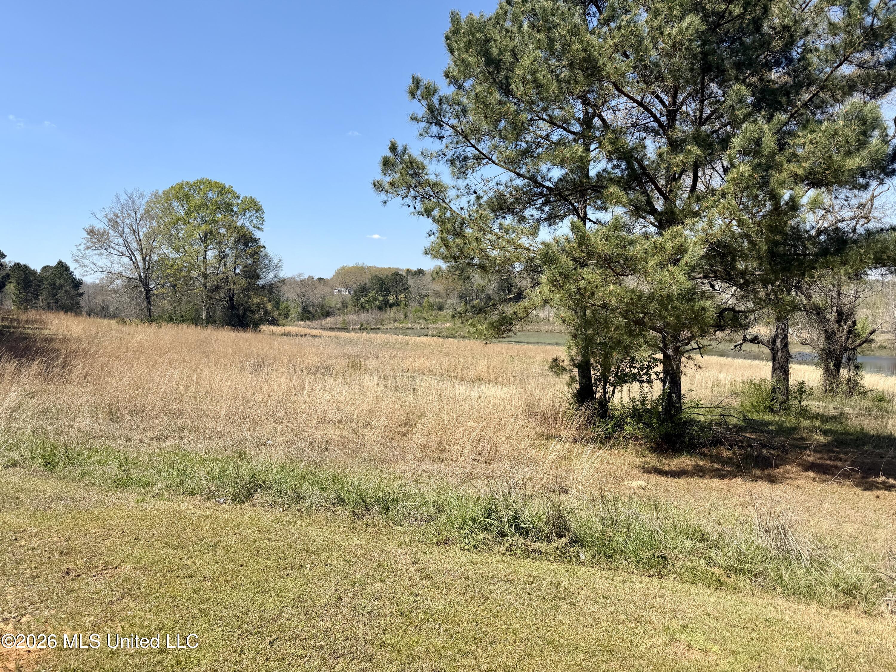 3253 Highway 488 Carthage, MS 39051 - Photo 31 of 109 IMG_1996