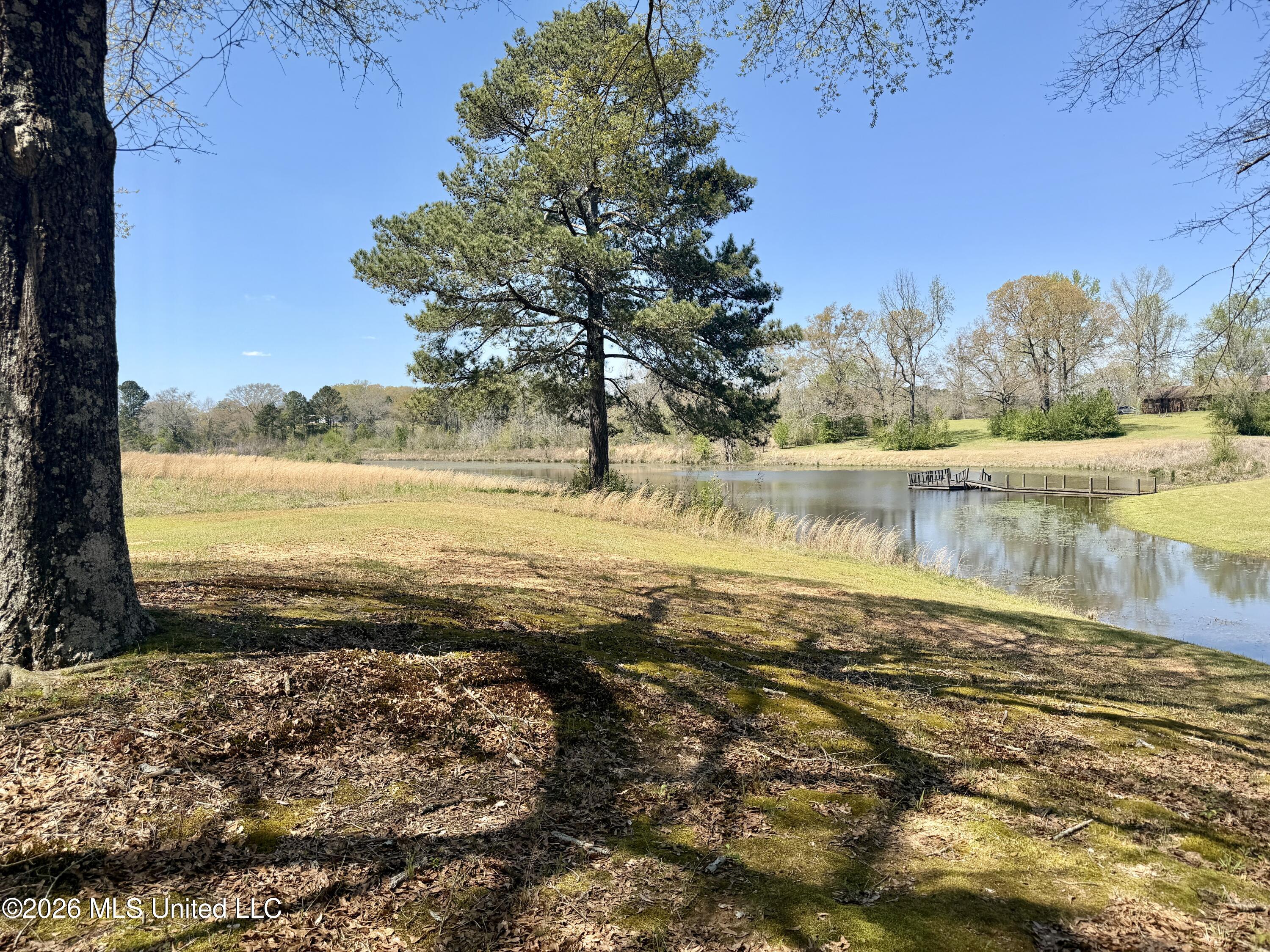 3253 Highway 488 Carthage, MS 39051 - Photo 32 of 109 IMG_1997