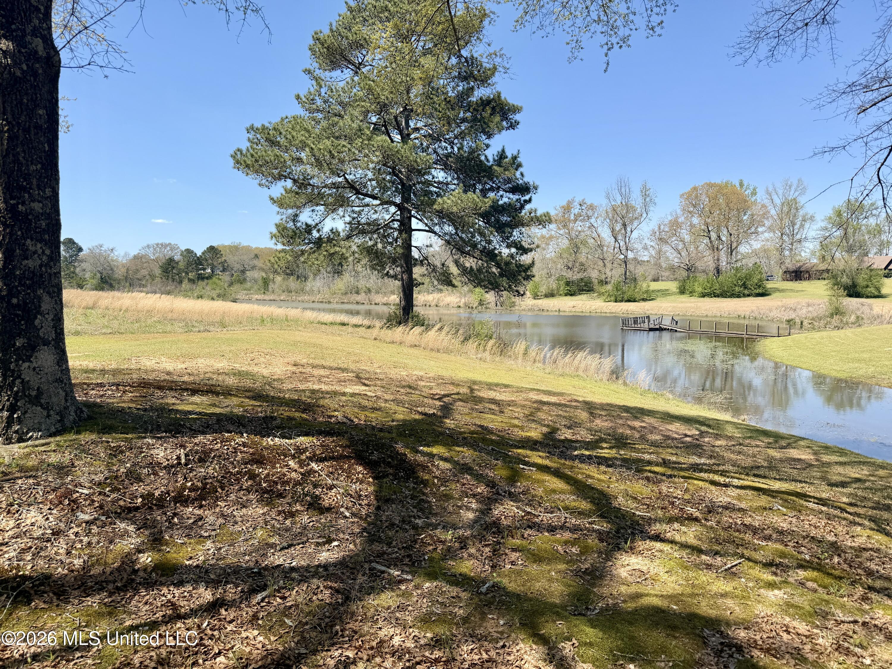 3253 Highway 488 Carthage, MS 39051 - Photo 33 of 109 IMG_1998