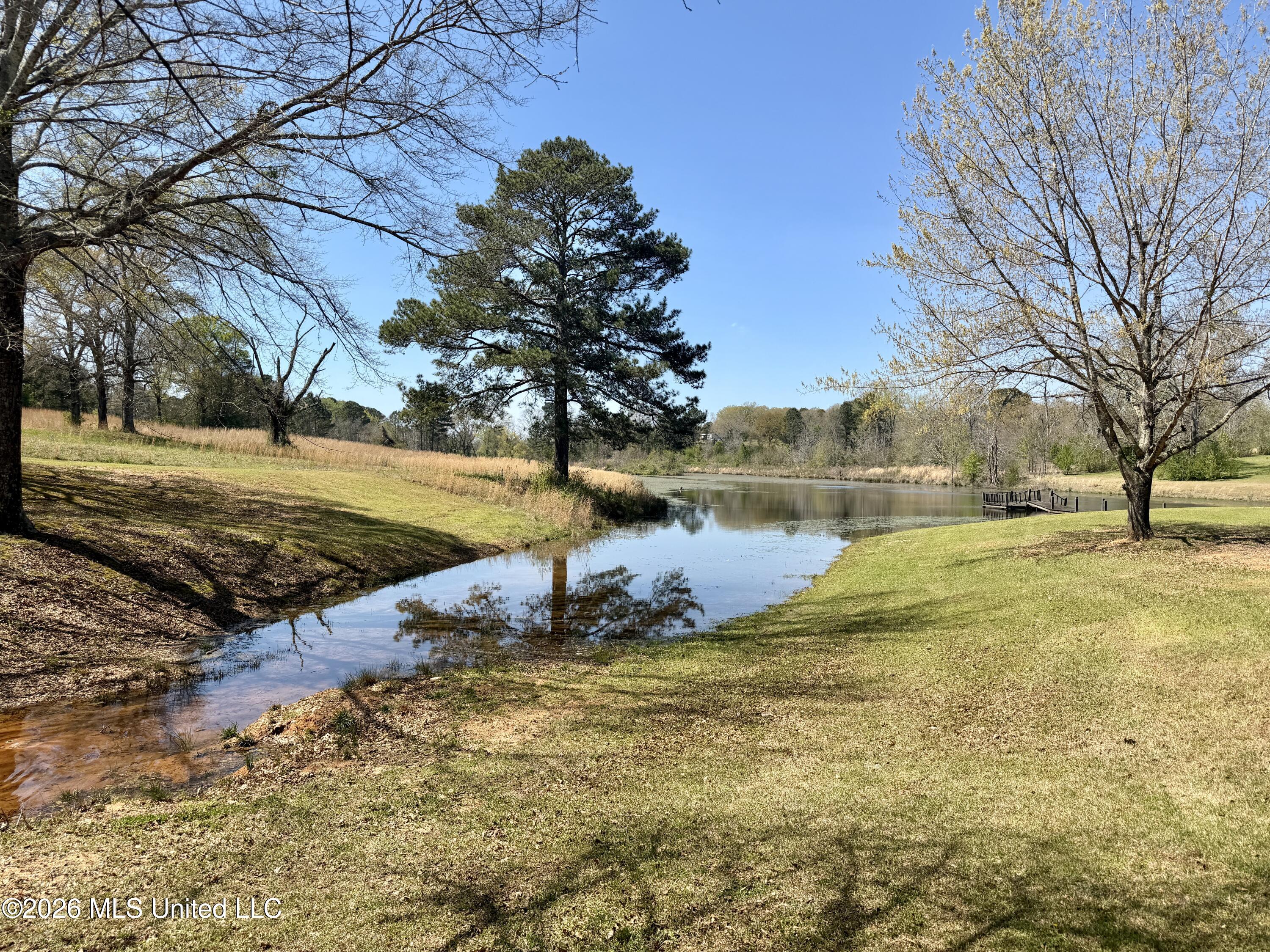 3253 Highway 488 Carthage, MS 39051 - Photo 35 of 109 IMG_2001