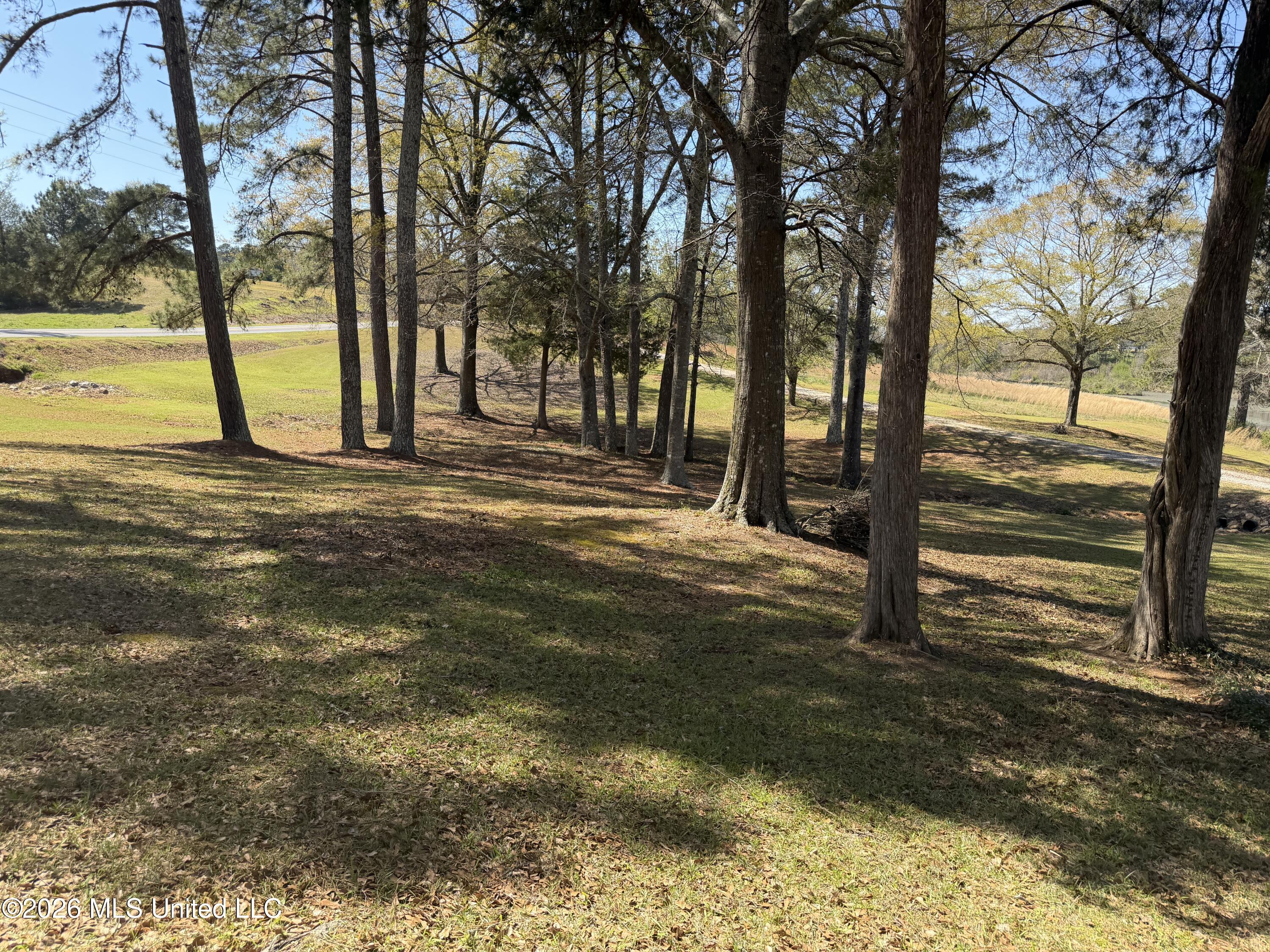 3253 Highway 488 Carthage, MS 39051 - Photo 36 of 109 IMG_2010