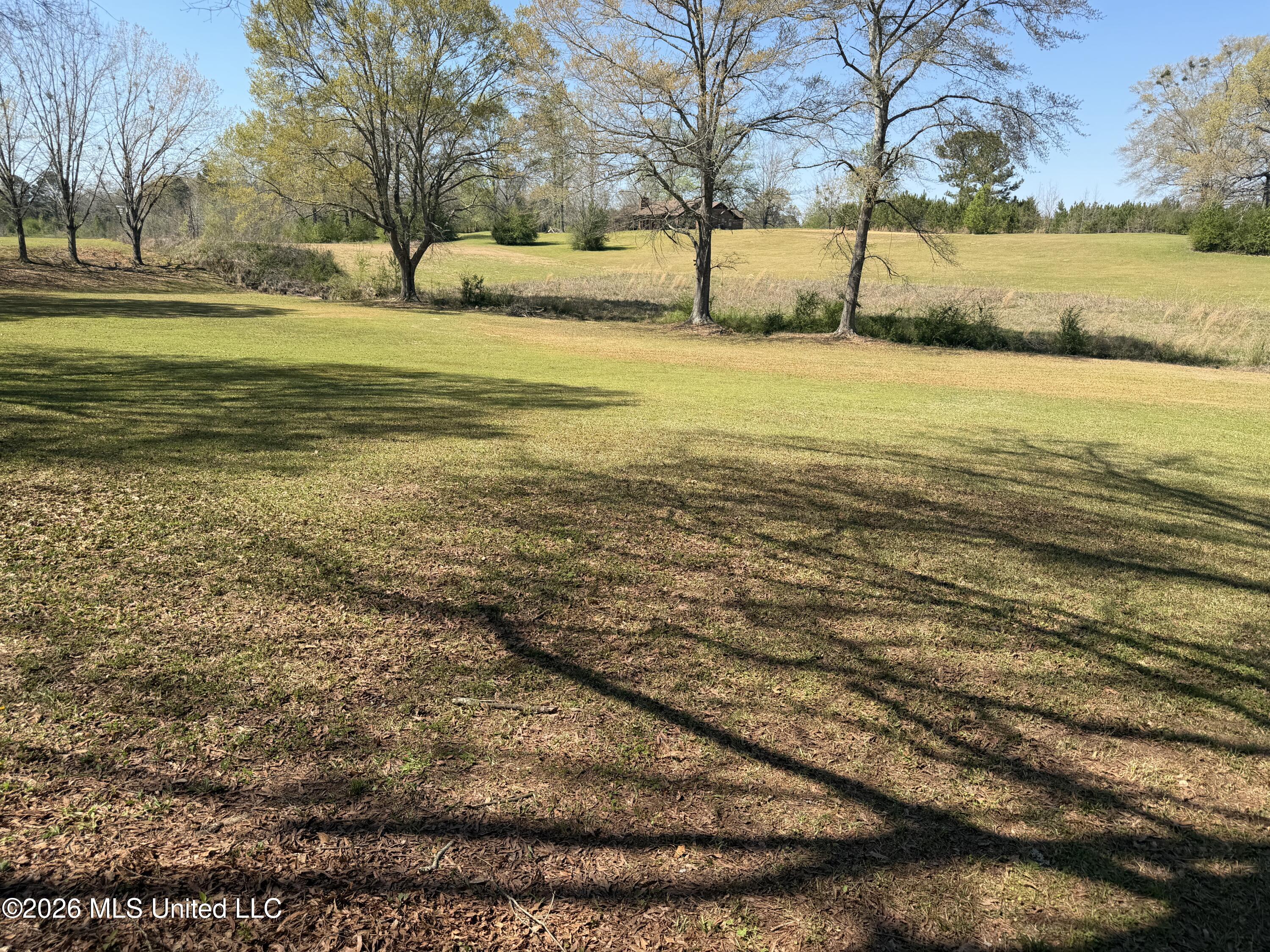 3253 Highway 488 Carthage, MS 39051 - Photo 37 of 109 IMG_2023