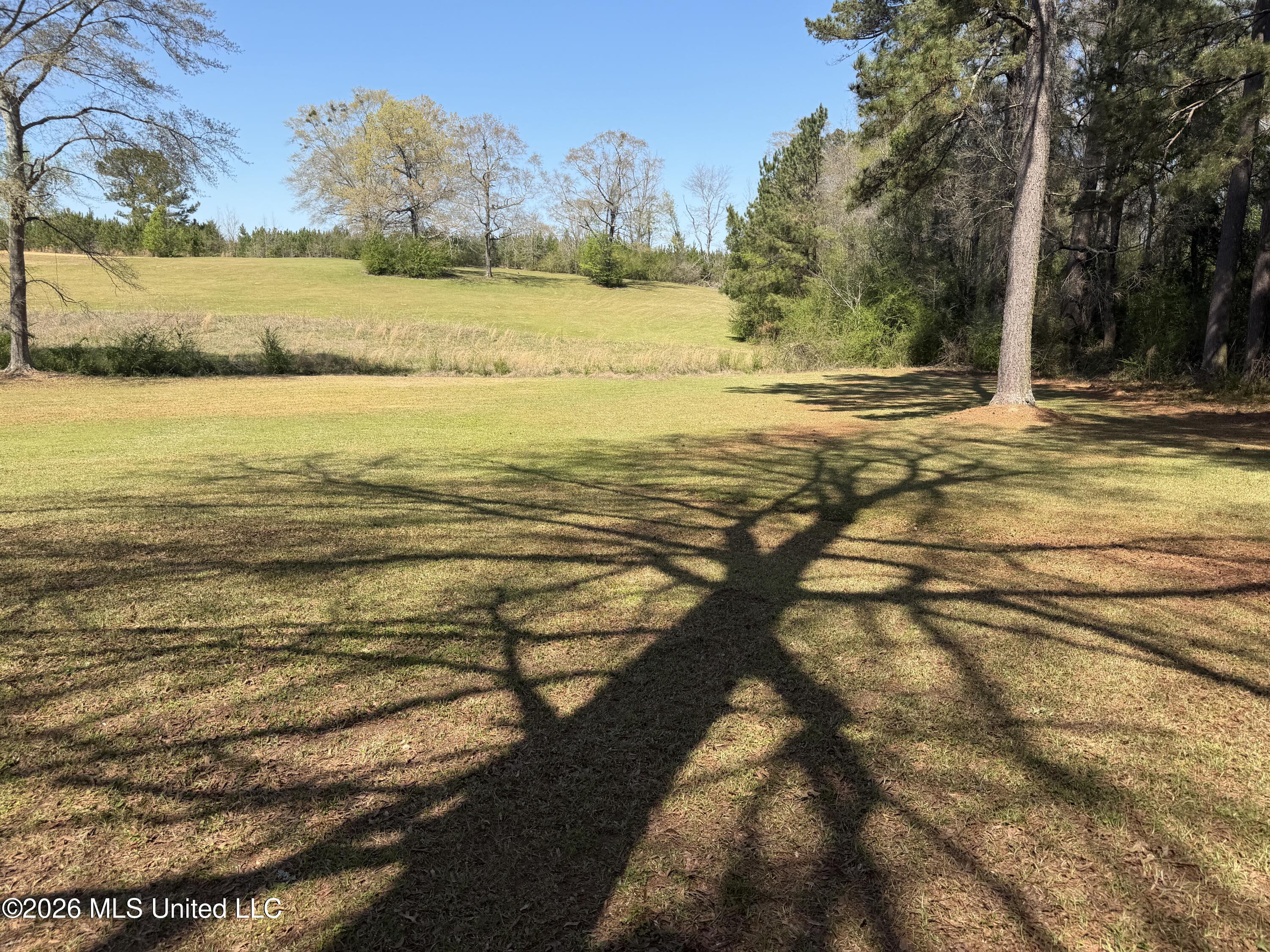 3253 Highway 488 Carthage, MS 39051 - Photo 38 of 109 IMG_2024