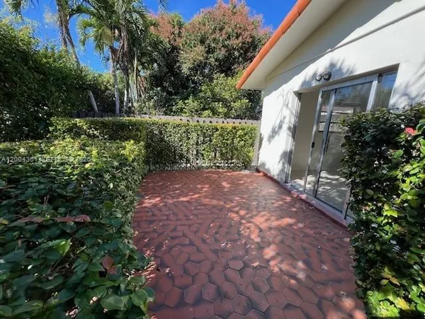 a view of a yard with plants and large trees