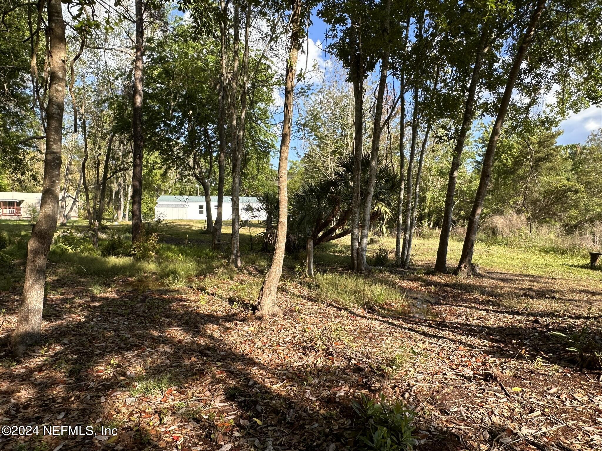 96757 Blackrock Road Yulee, FL 32097 - Photo 19 of 21 a view of backyard space and trees