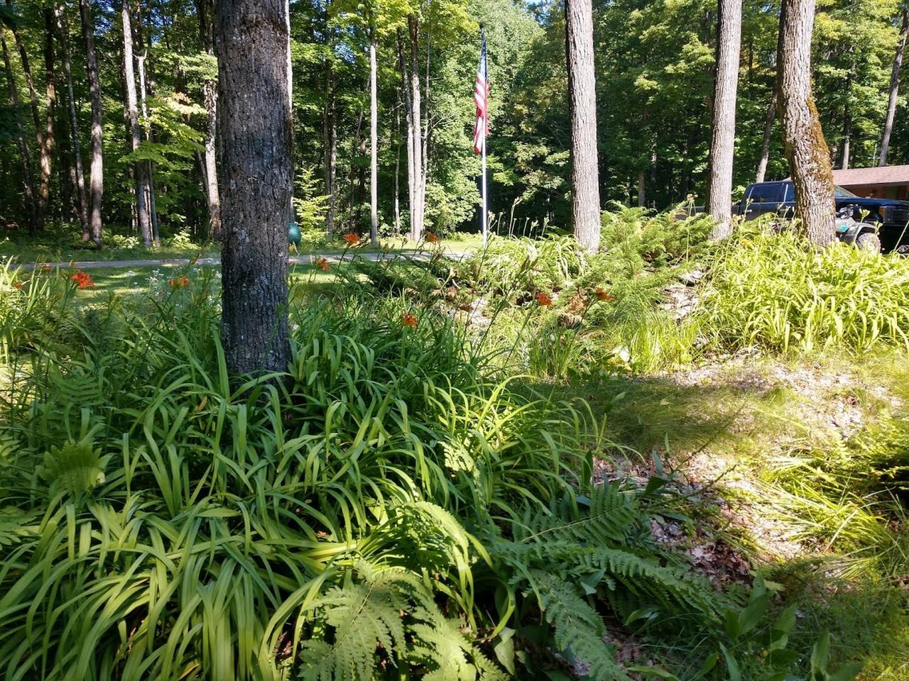 7172 Goodrich Road Land O'Lakes, WI 54540 - Photo 22 of 25 Gallery Image 22
